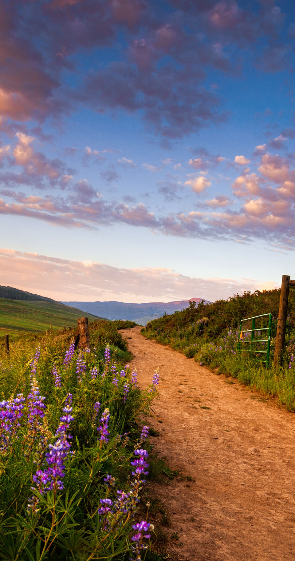 Denmark: Part-time employees and entitlement to overtime pay - WTW