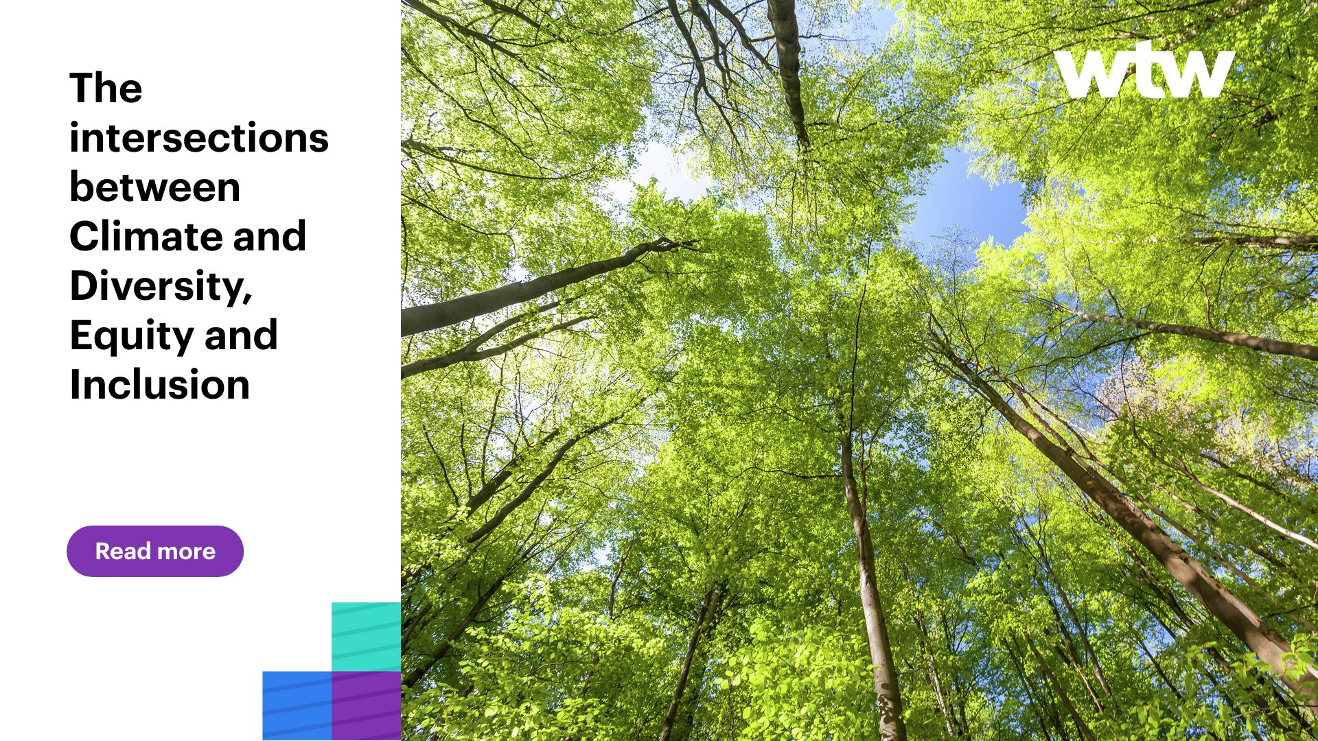 The intersections between Climate and Diversity, Equity and Inclusion ...