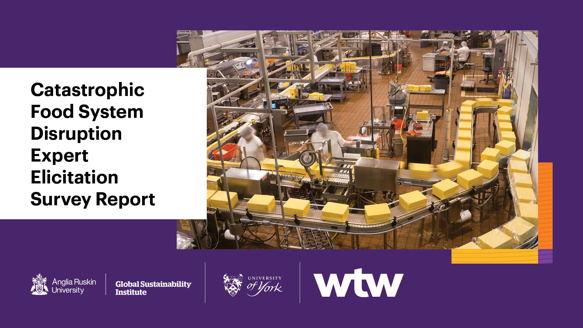 Catastrophic Food System Disruption Expert Elicitation Survey q - WTW