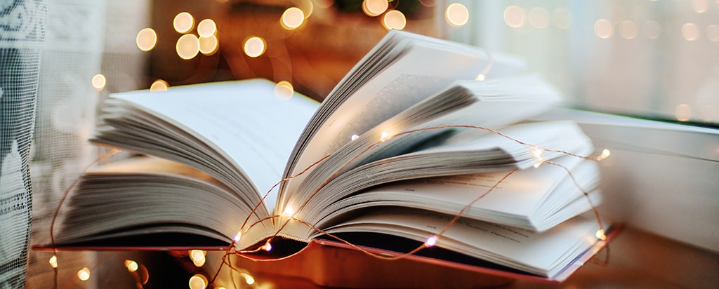 careerinspiringbooksholidayl