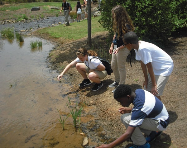 activityexperientiallearning600x475