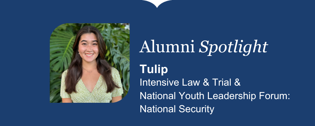 1024412spotlighttulipnsalw