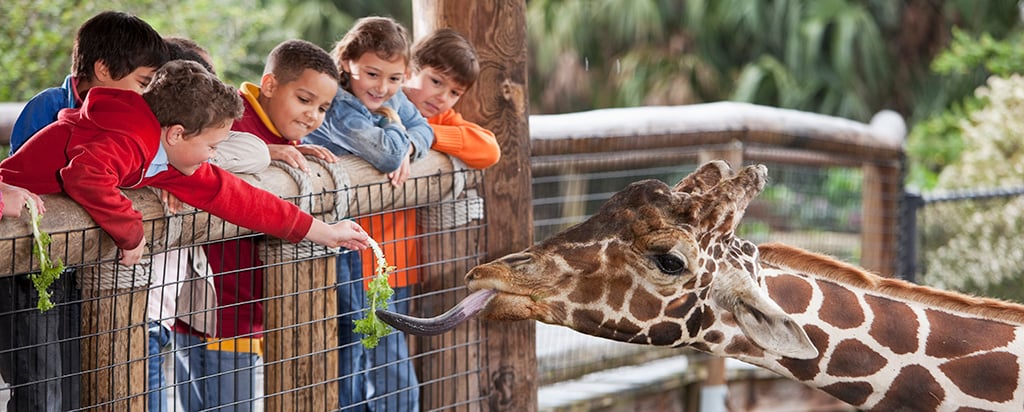 gettyimages474690025superblogdetail