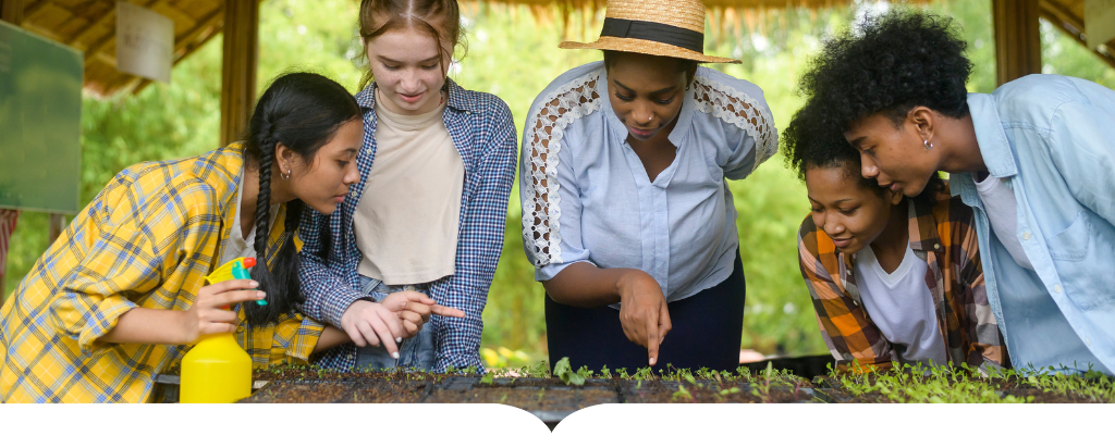 summerplanning1024x412