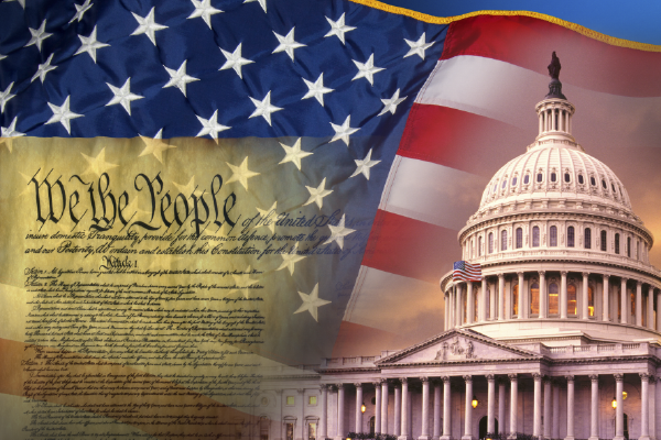 historyoftheuselectionprocess