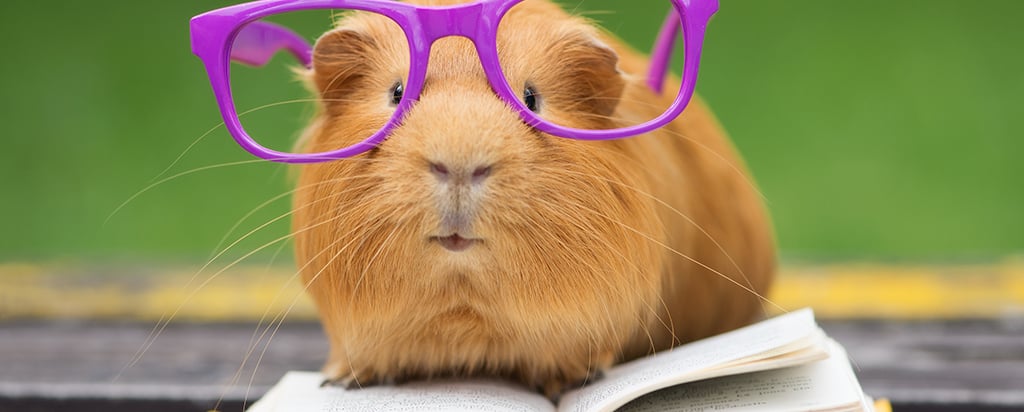 gettyimages532859376_1024