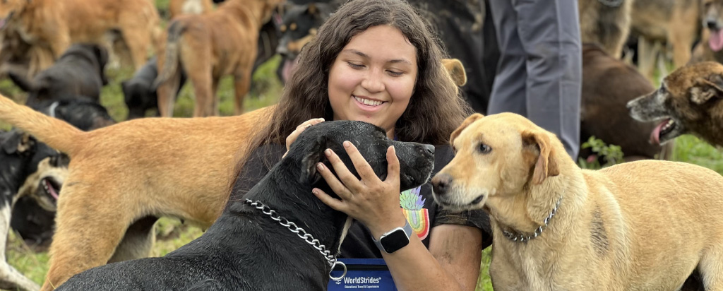 envbloggirldogs1024x412