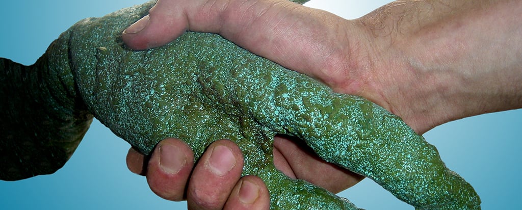 gettyimages157190985_blog_detail