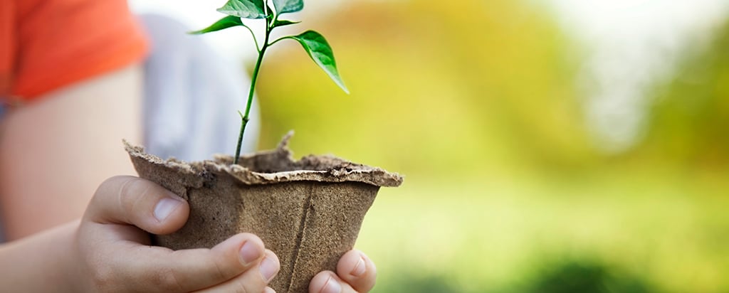 gettyimages596072866superblogdetail