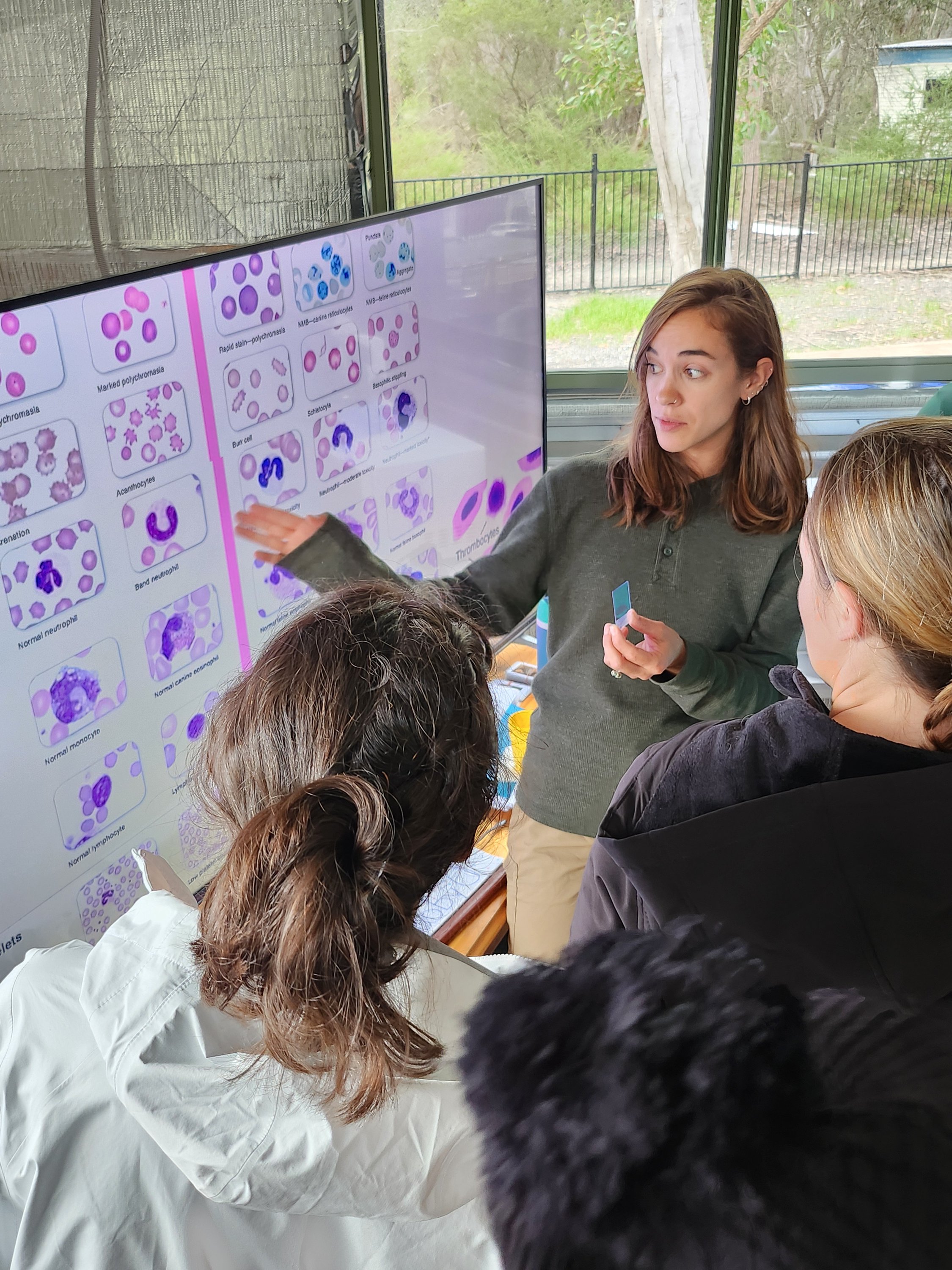 VET_2024_Australia_LoopAbroad_08