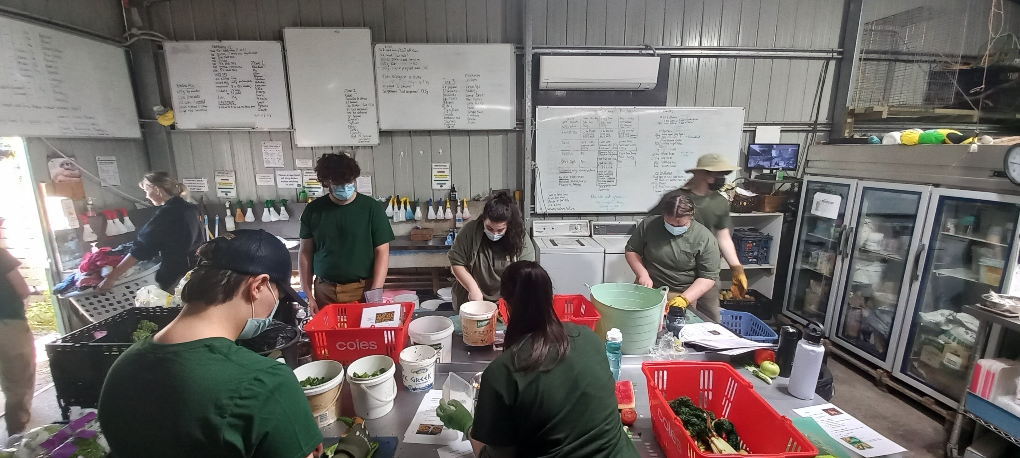 VET_2024_Australia_LoopAbroad_12