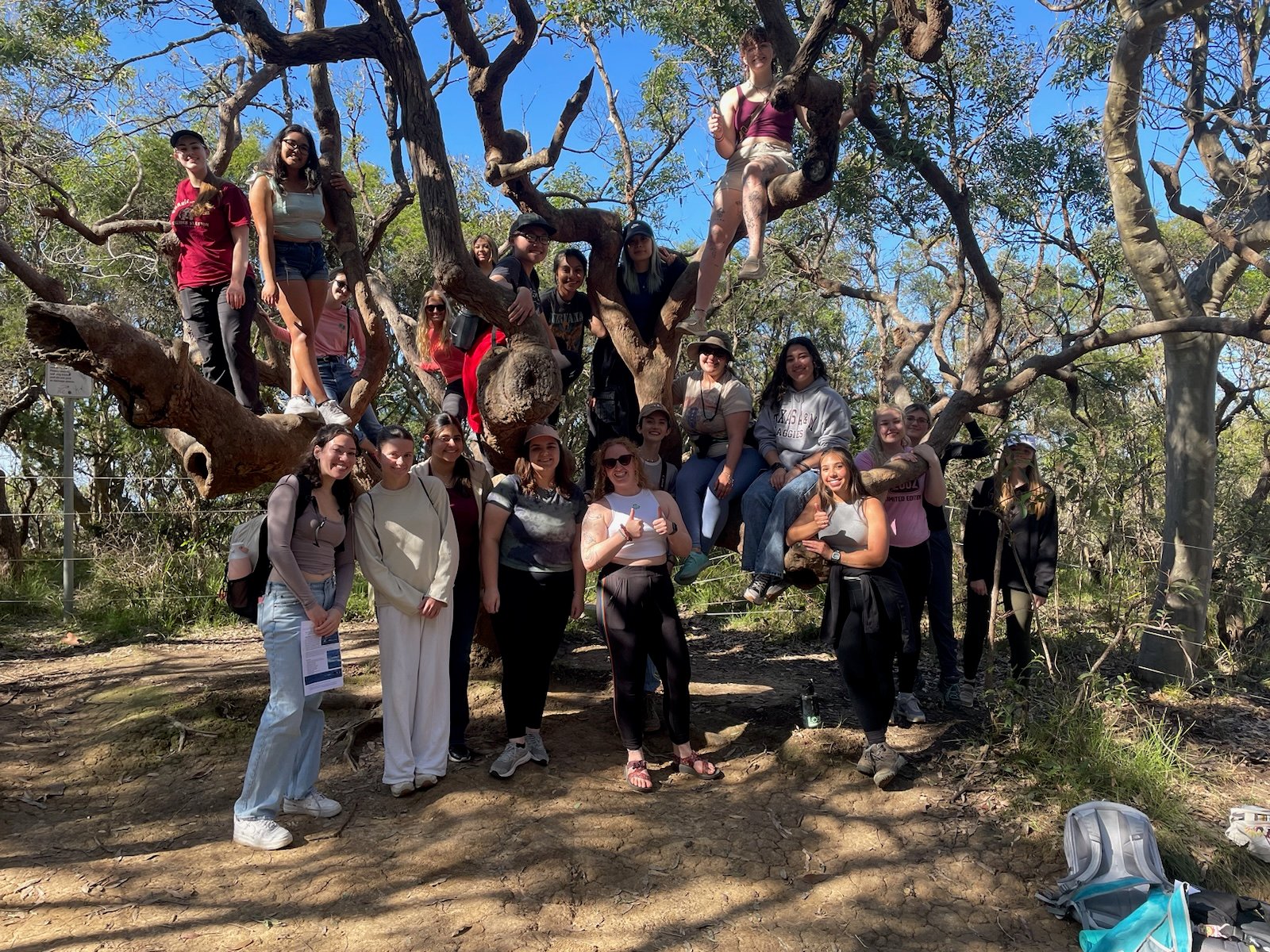 VET_2024_Australia_LoopAbroad_19