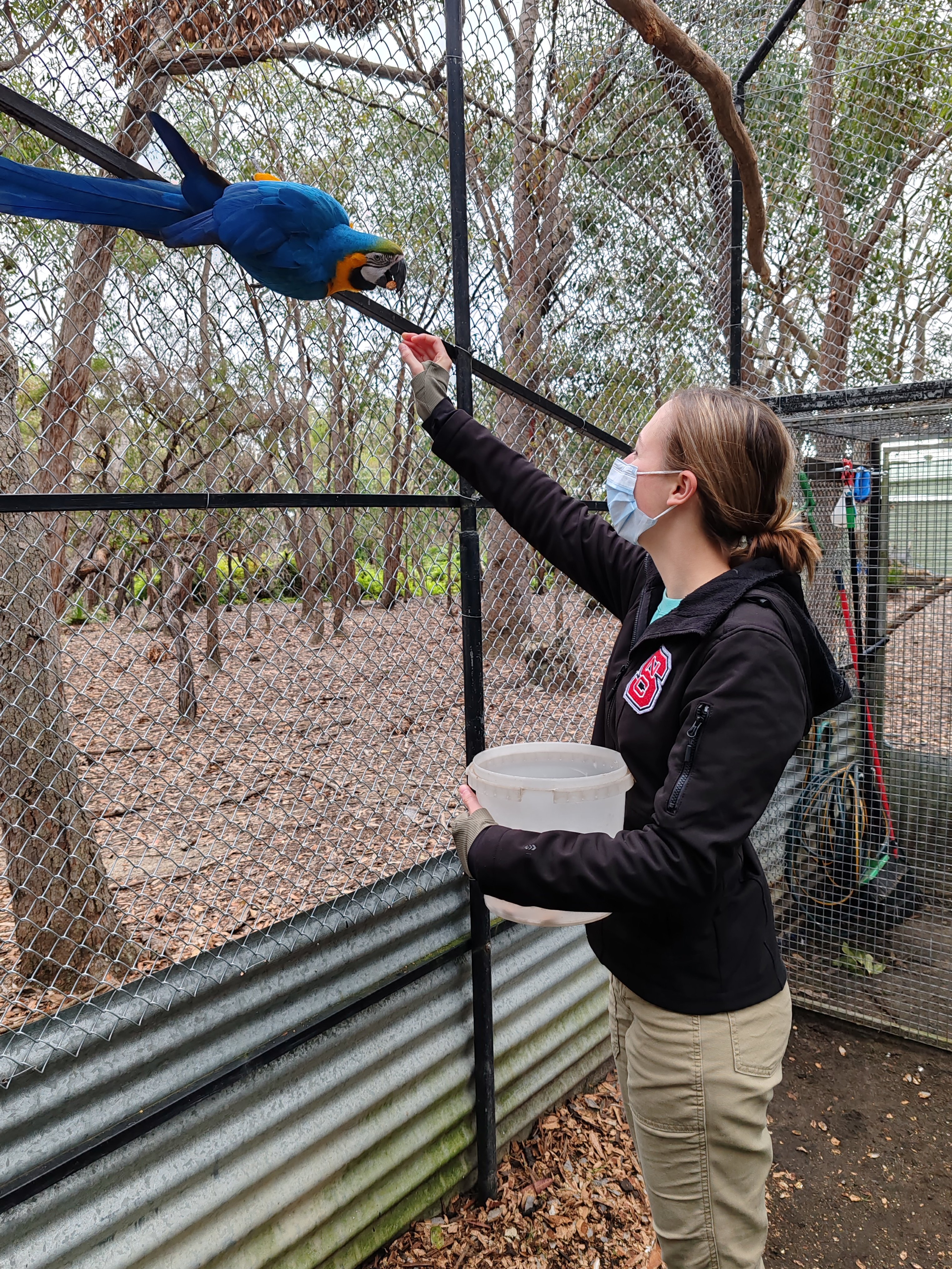 VET_2024_Australia_LoopAbroad_22