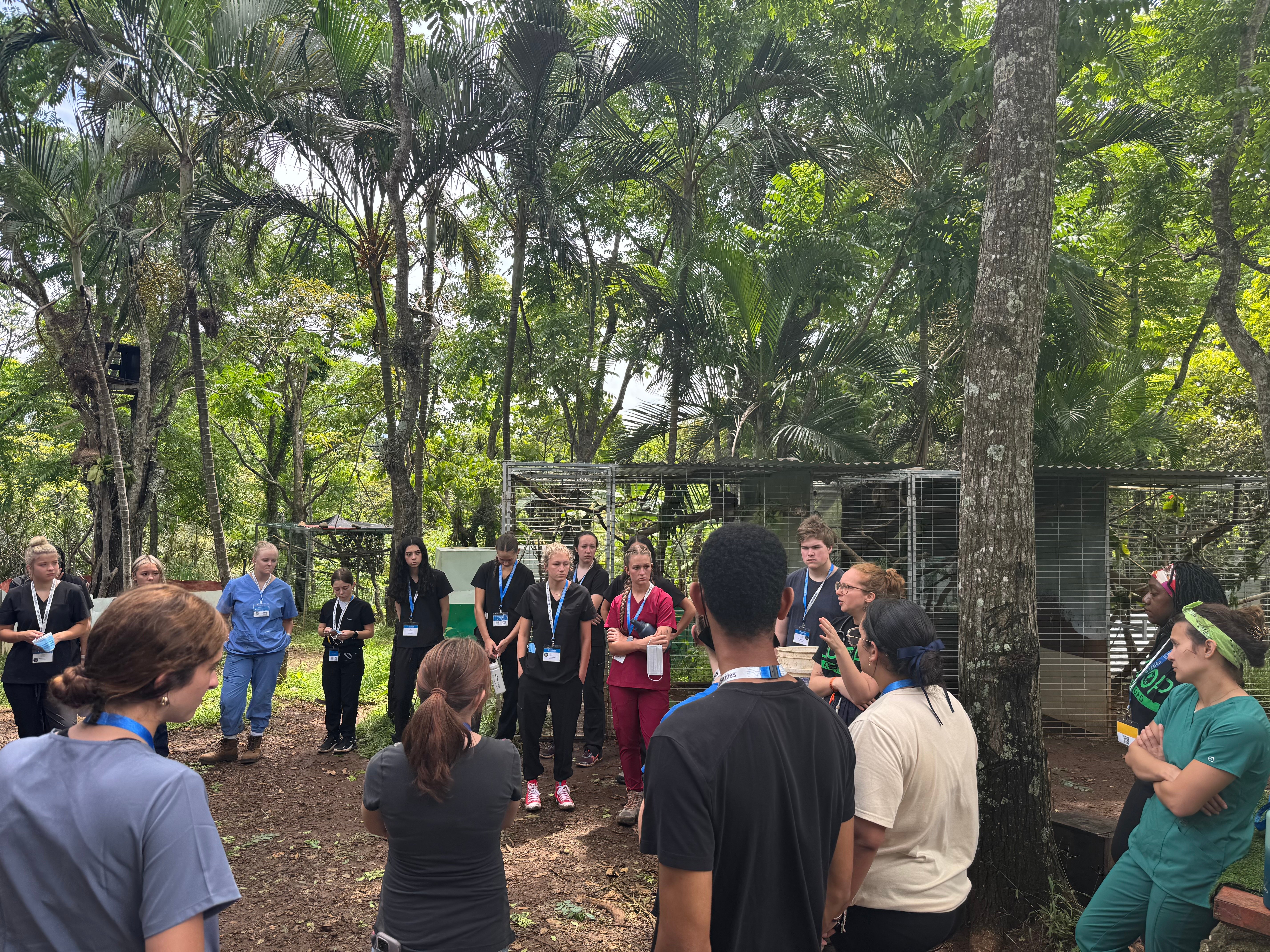 Day 11 VEH_2025_CostaRica_S1_60