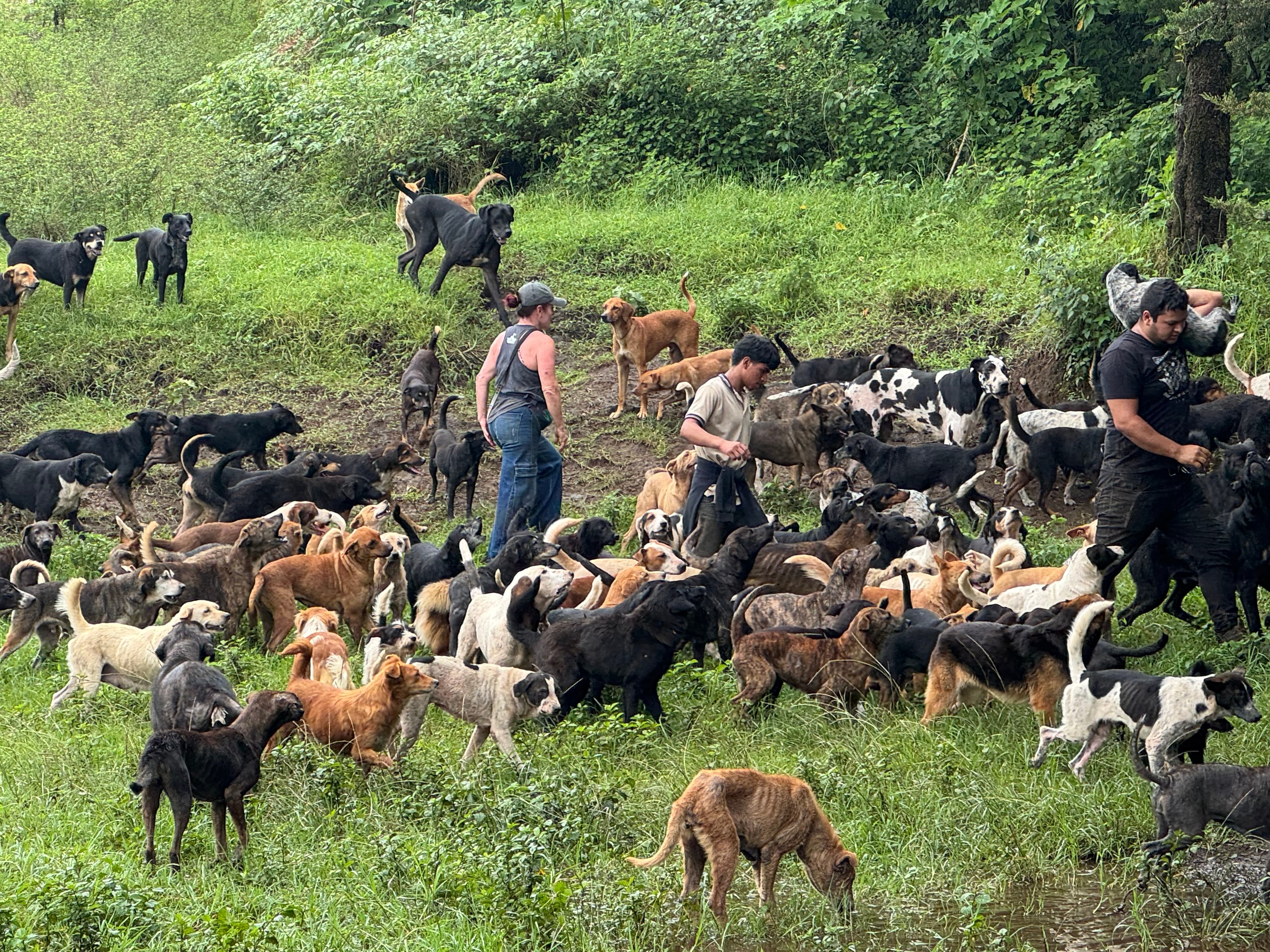 Day 9 VEH_2025_CostaRica_S1_17