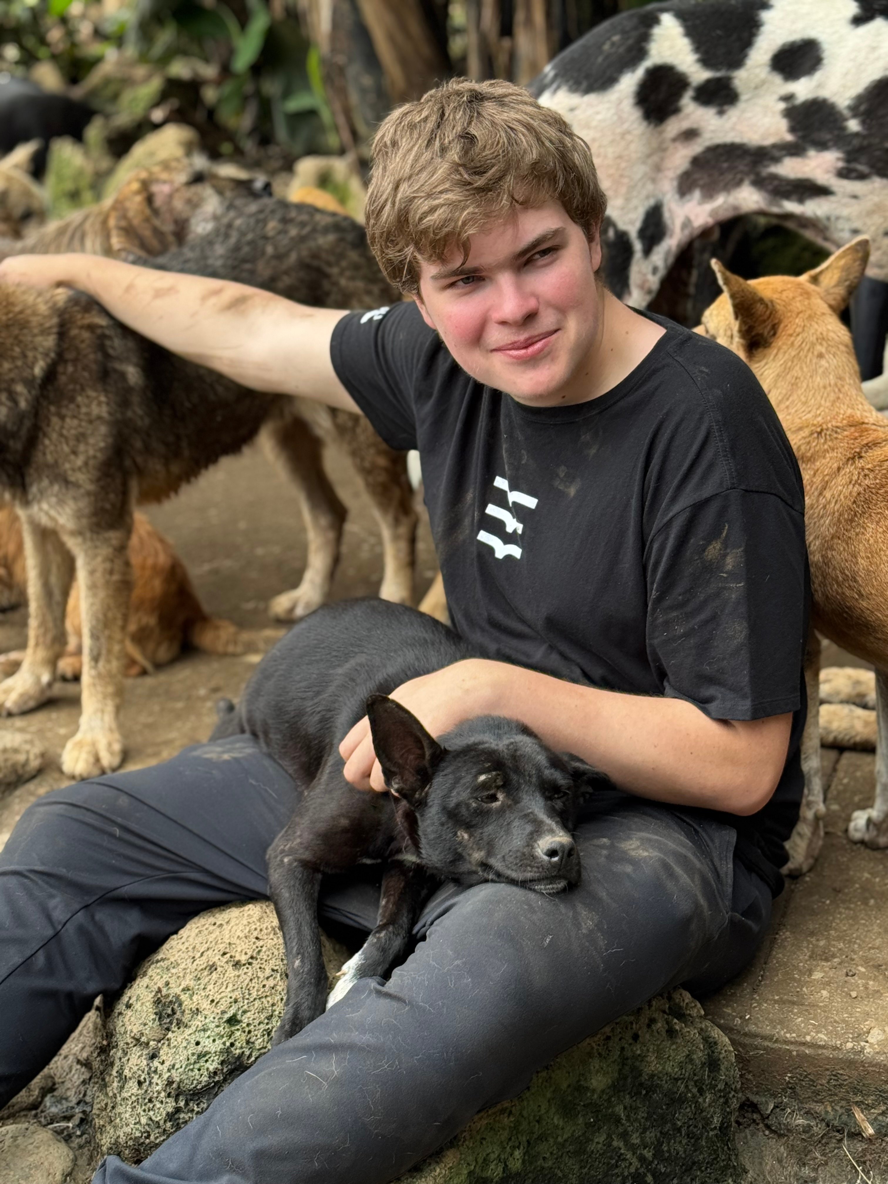 Earn Up to 80 Veterinary Hours 