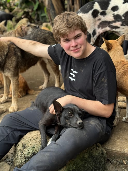 Earn Up to 80 Veterinary Hours 
