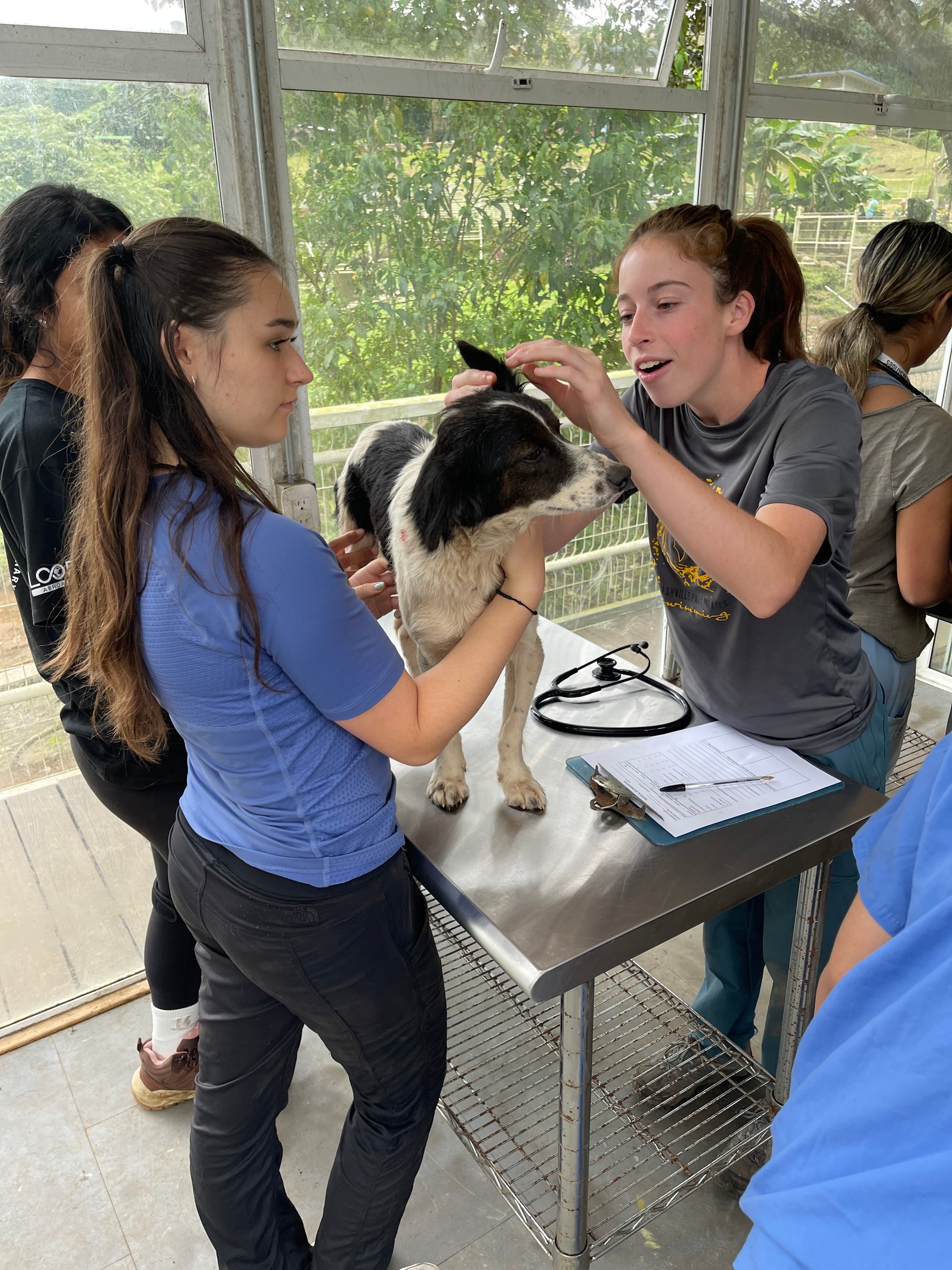 VEH_2025_CostaRica_S2_Simulation_group_scholar_24