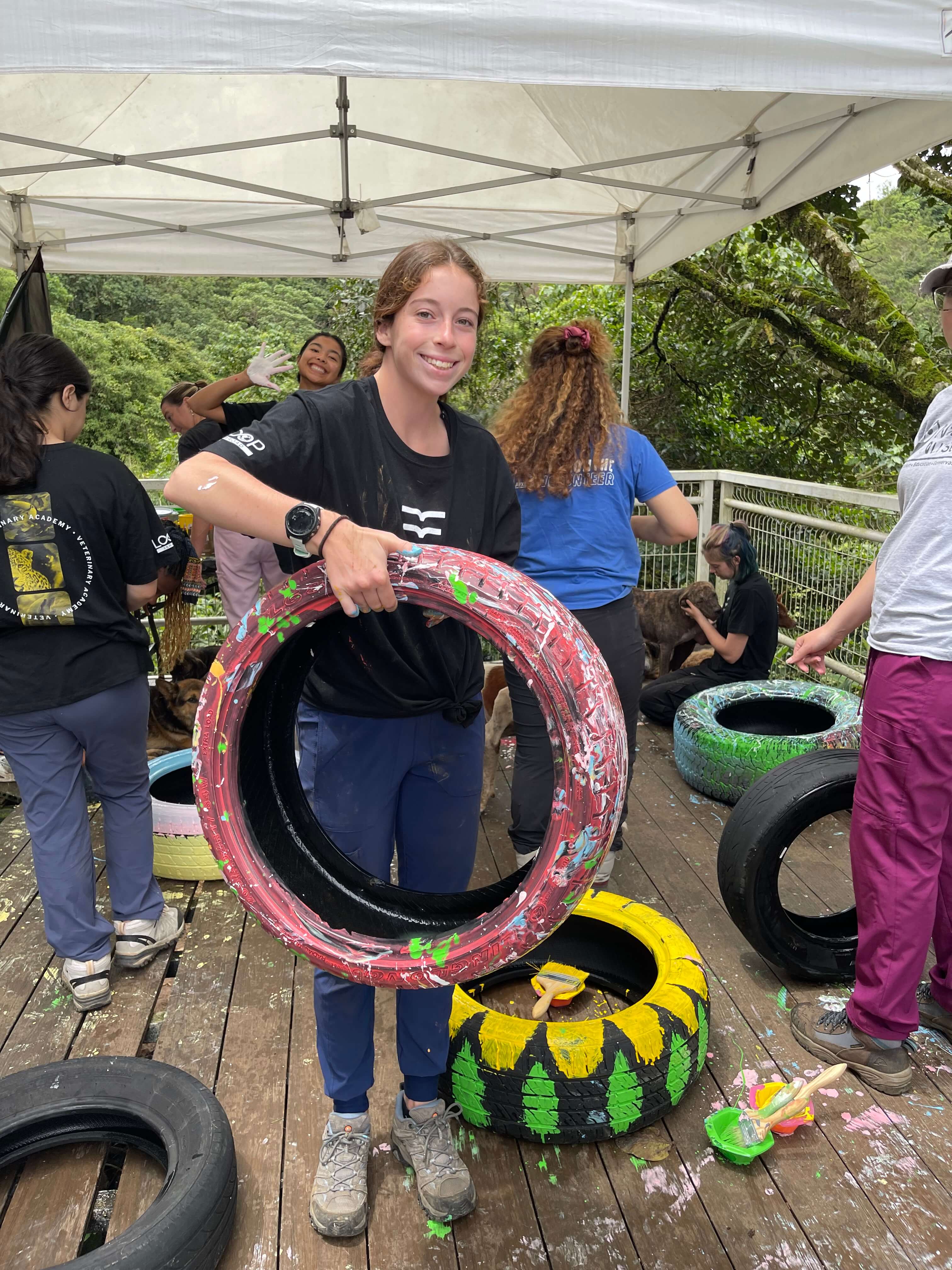 VEH_2025_CostaRica_S2_workshop_scholar_1