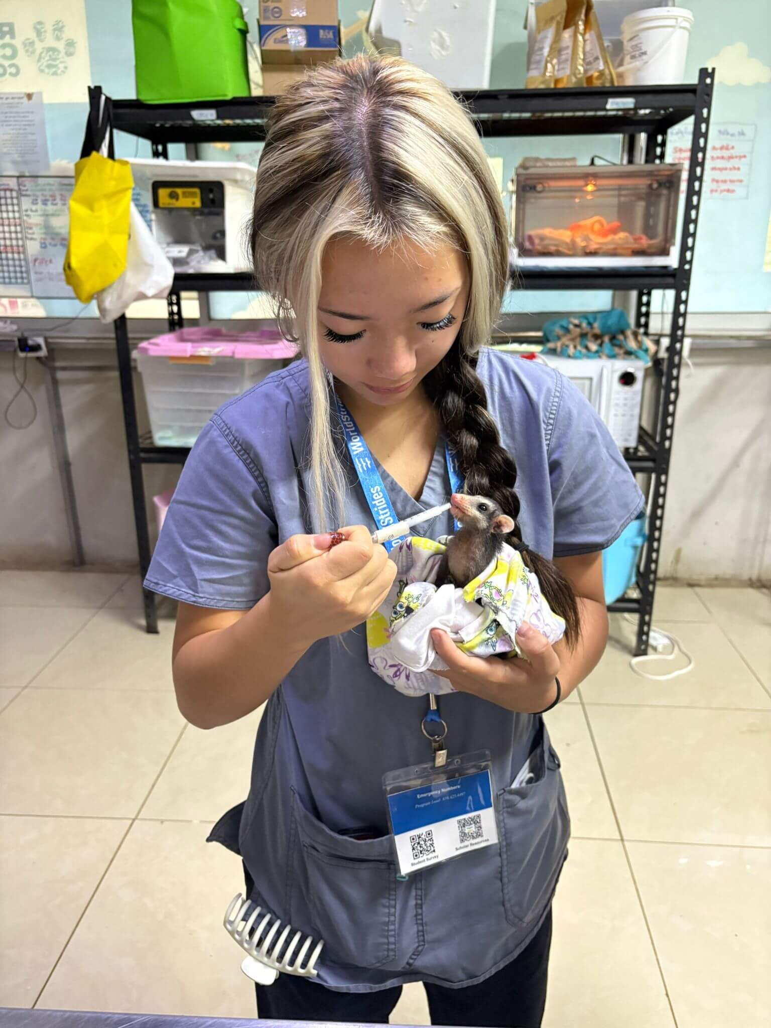 VET_2025_CostaRica_Highlight4