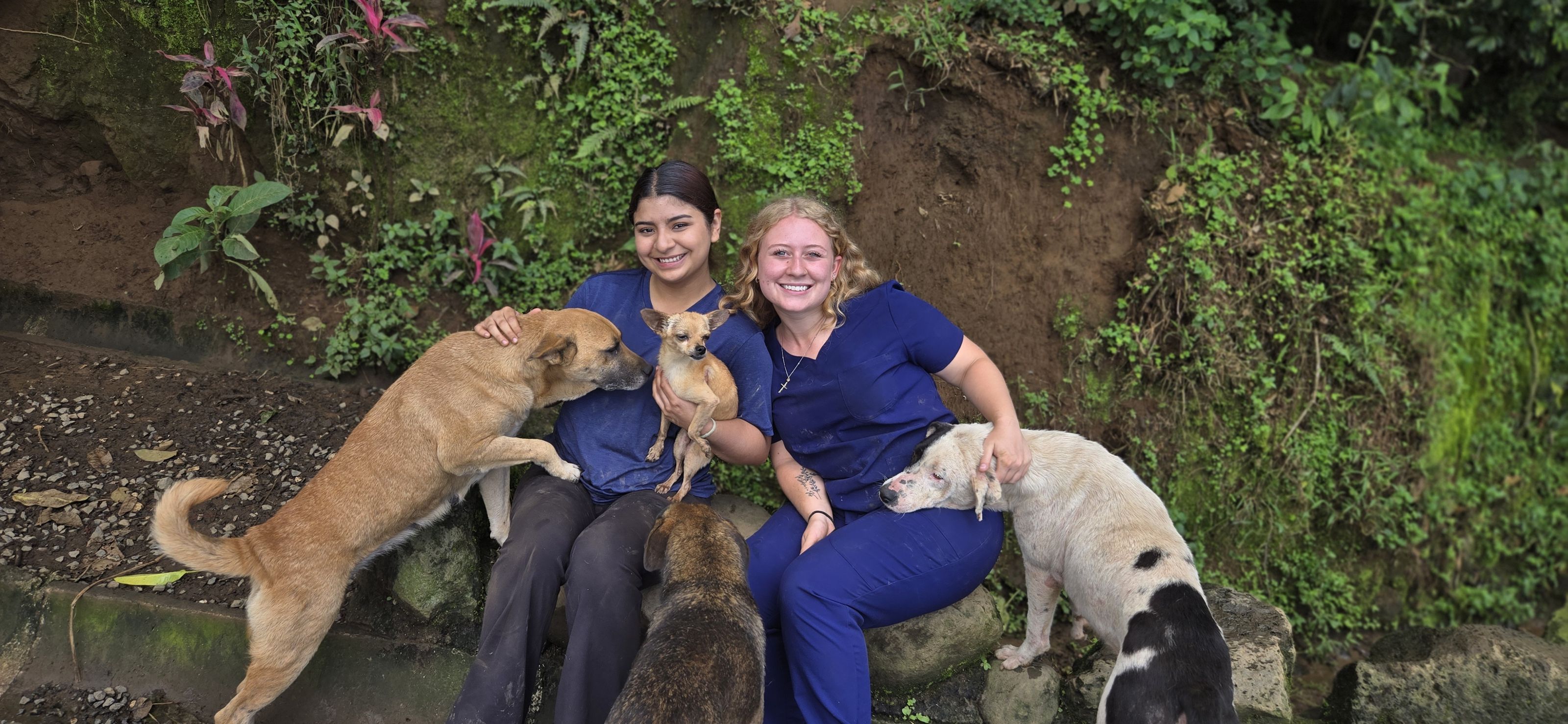 VET_2025_CostaRica_Header1