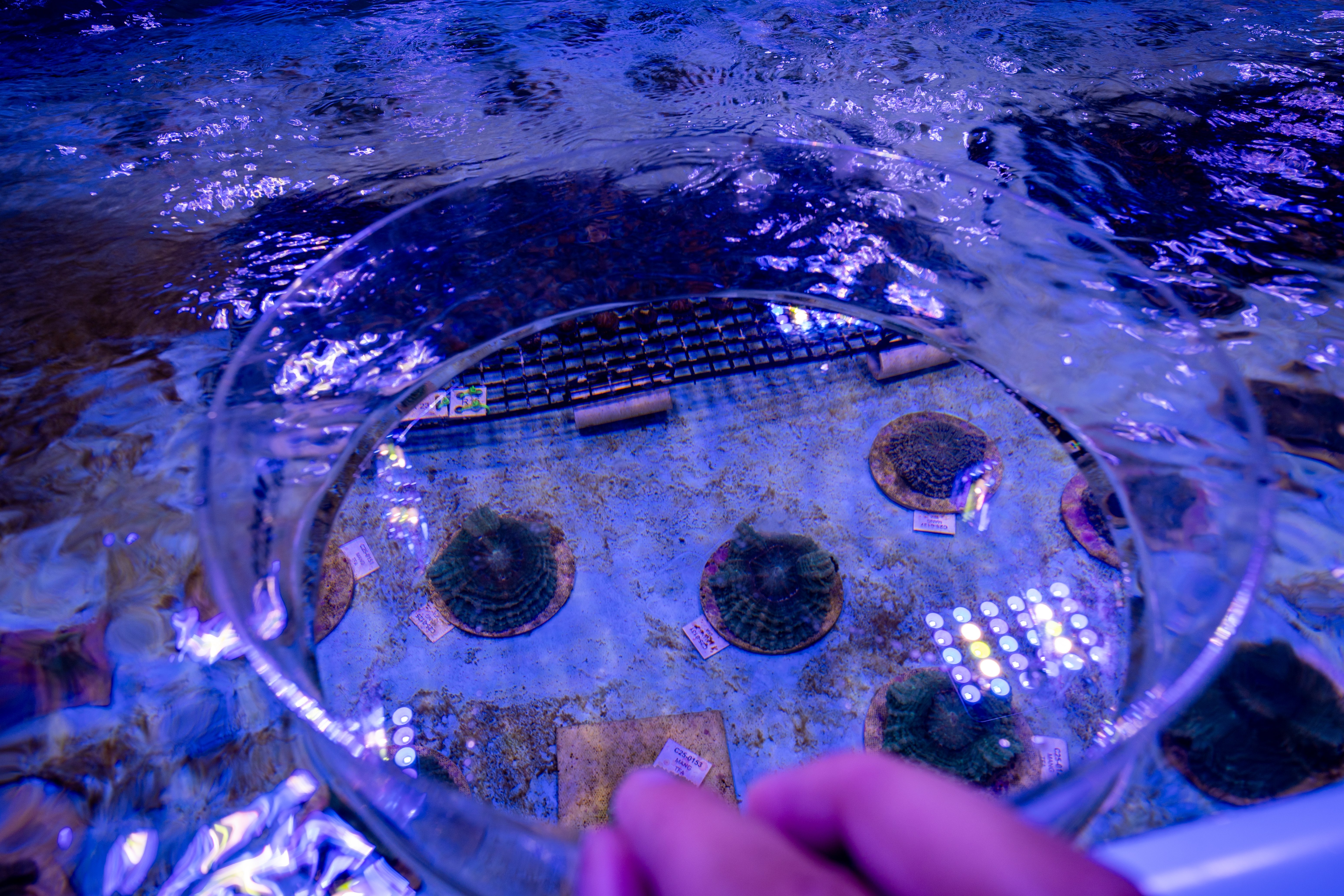 VEH_2025_FloridaReef_Workshop_02