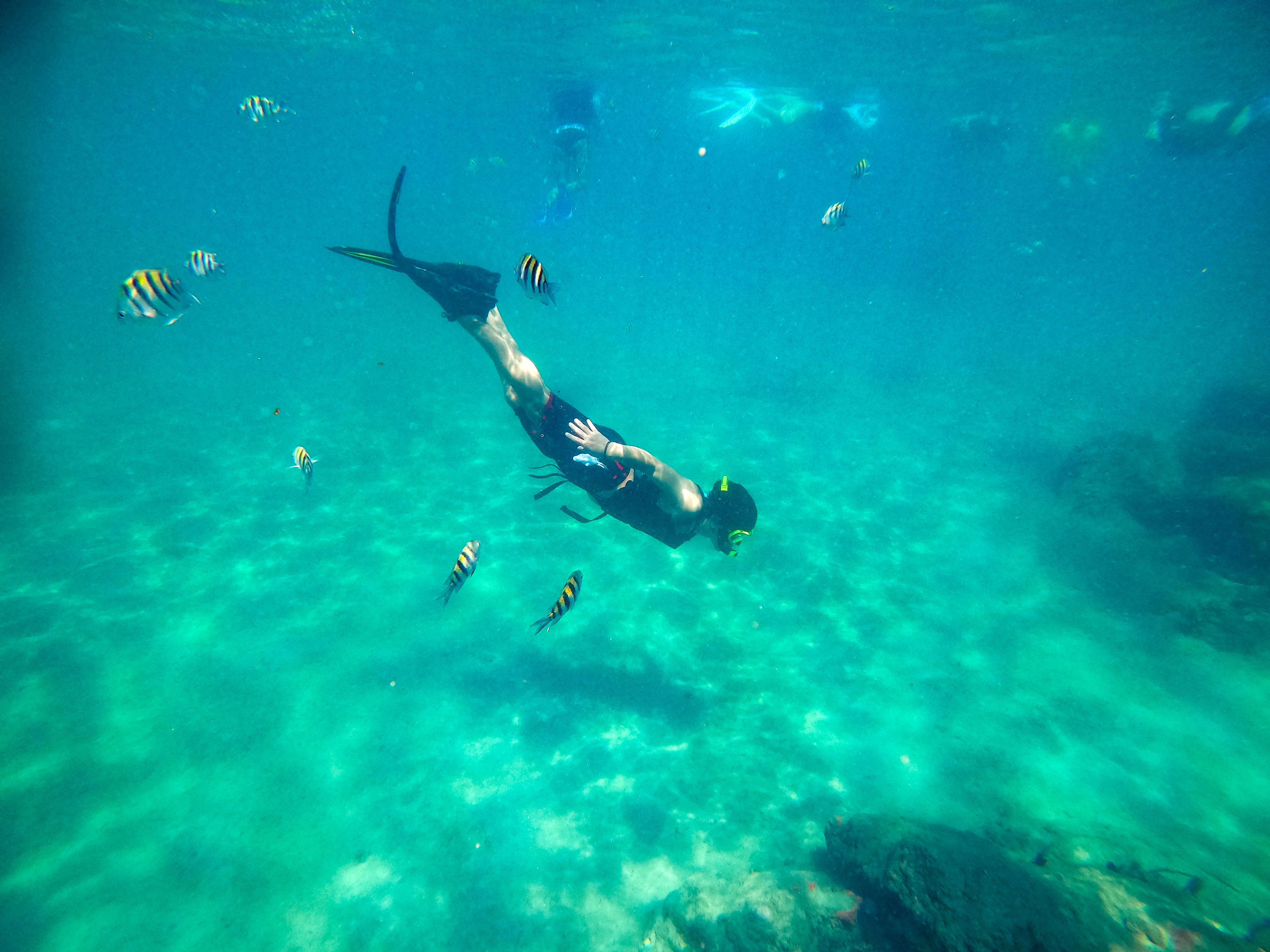 VET_2025_FloridaReef_04