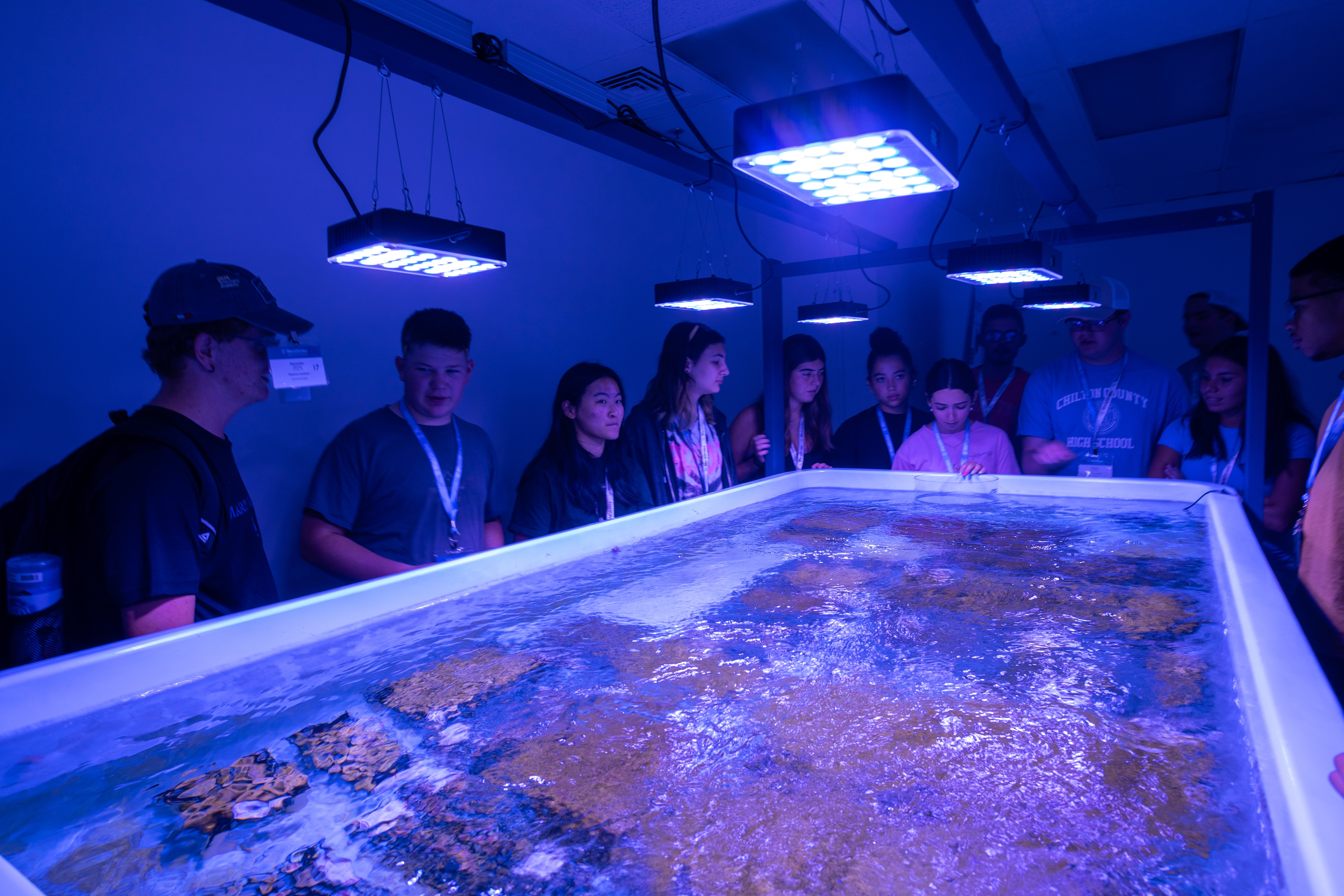 VET_2025_FloridaReef_10