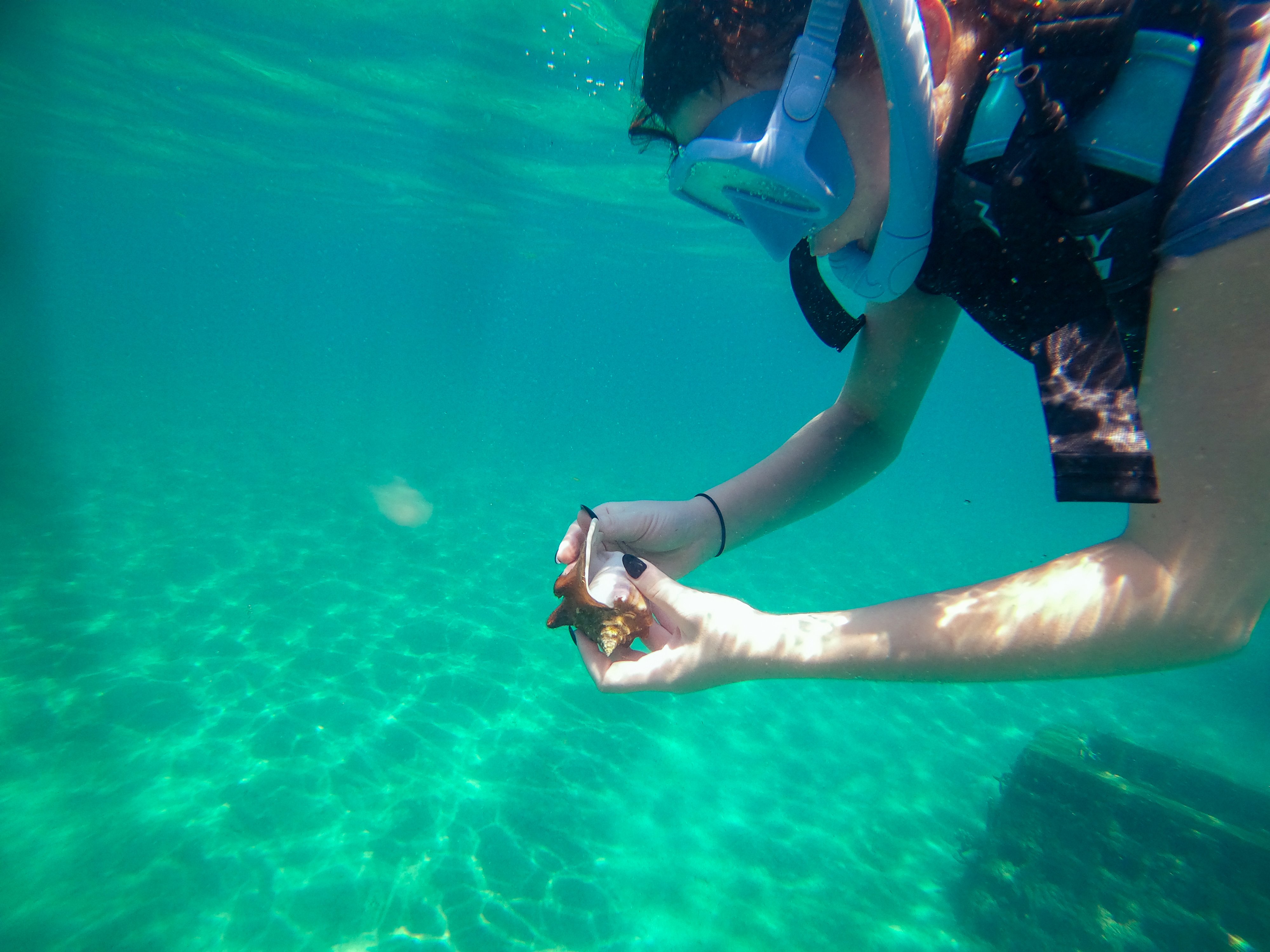 VET_2025_FloridaReef_17