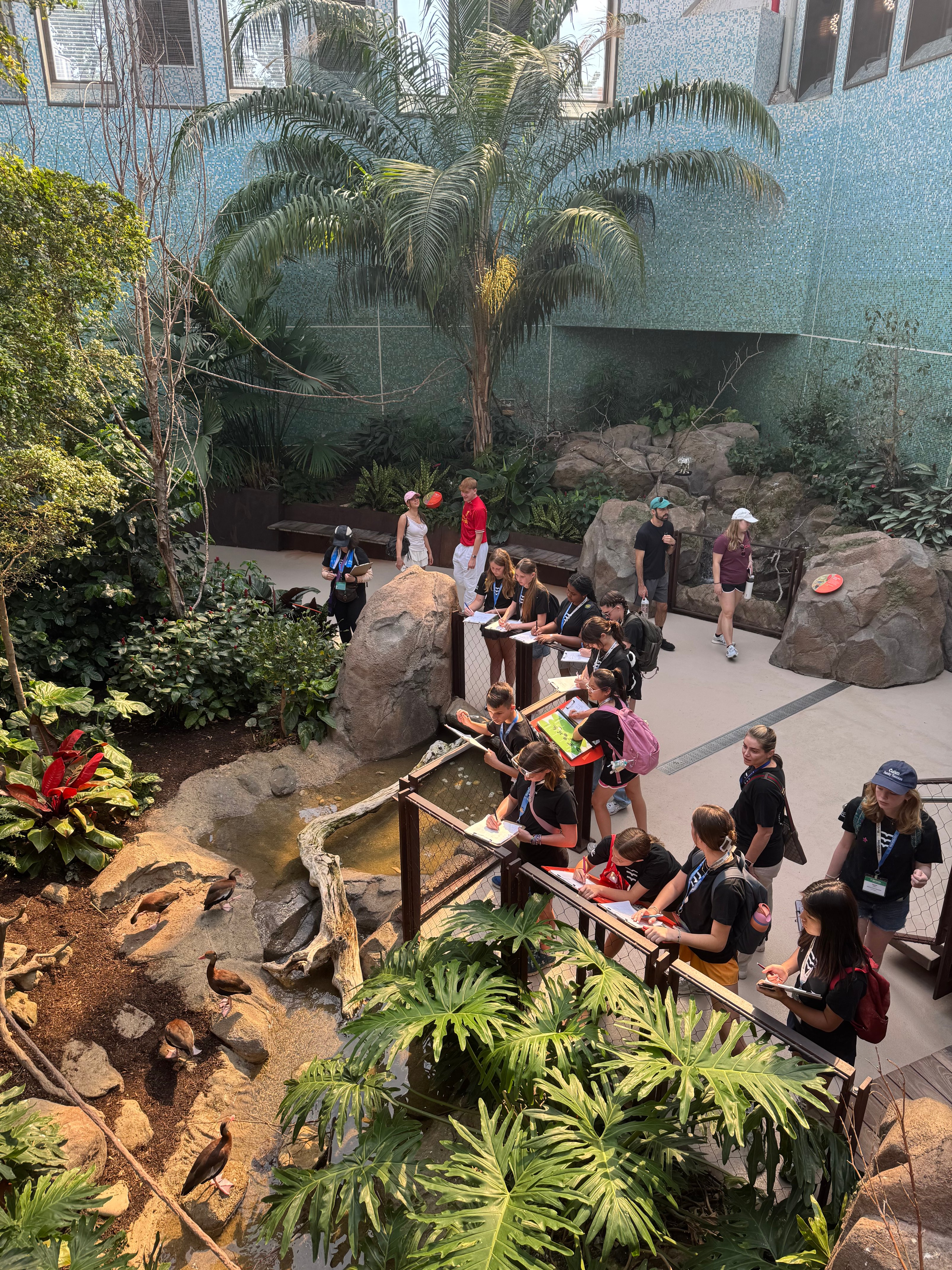 VET_MS_2025_DC_Workshop_04