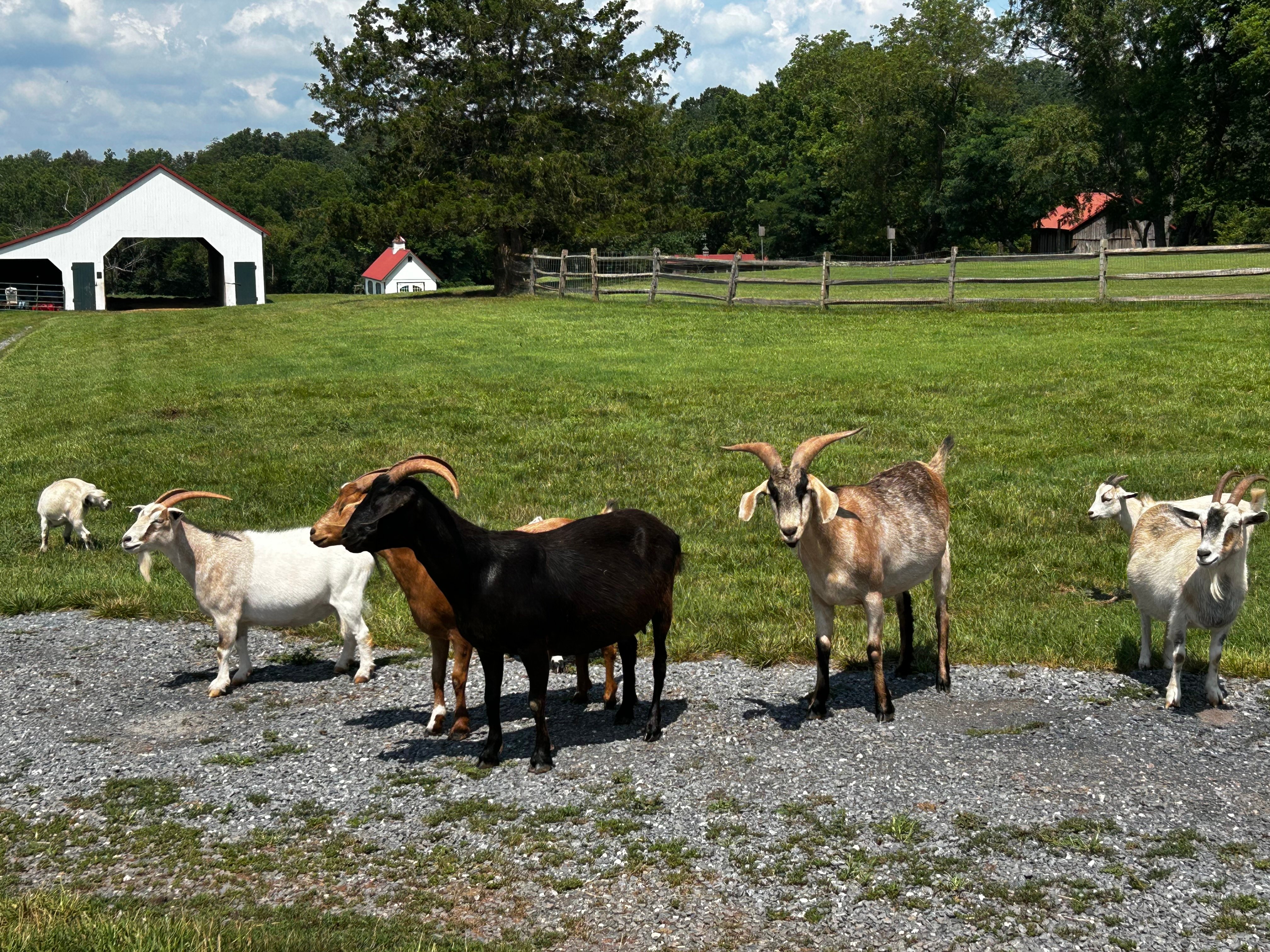 VET_MS_2025_DC_Workshop_06