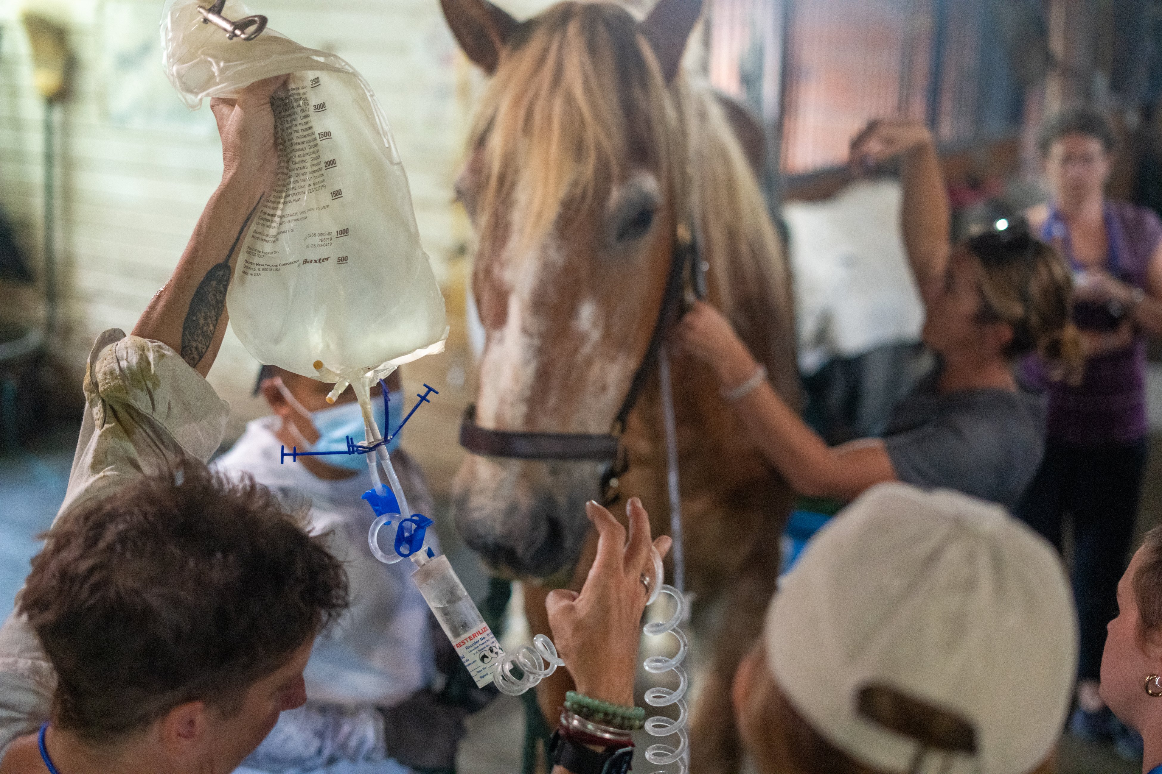 VEH_2025_PRO_PineBush_166