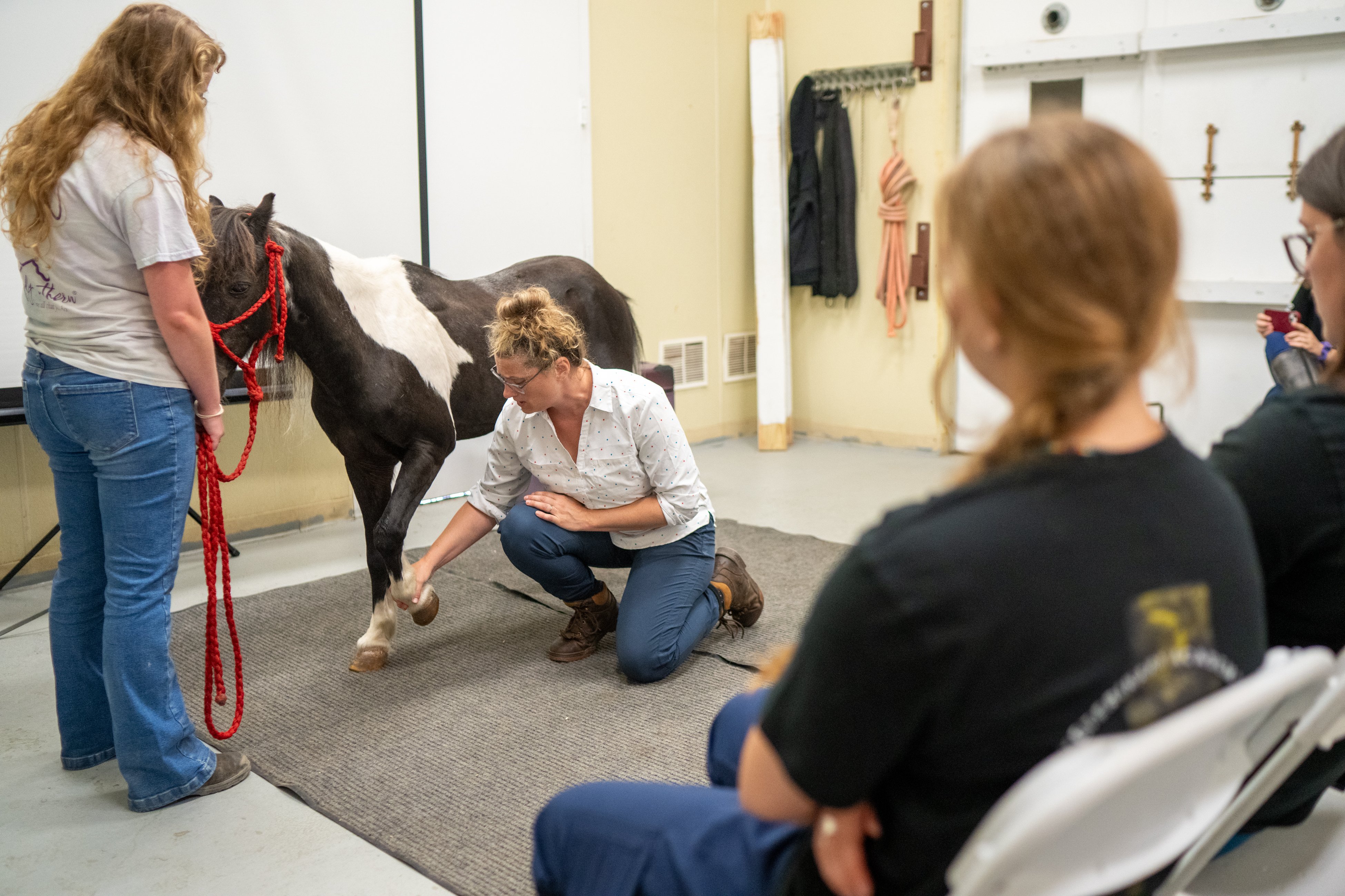 VEH_2025_PRO_PineBush_201 copy