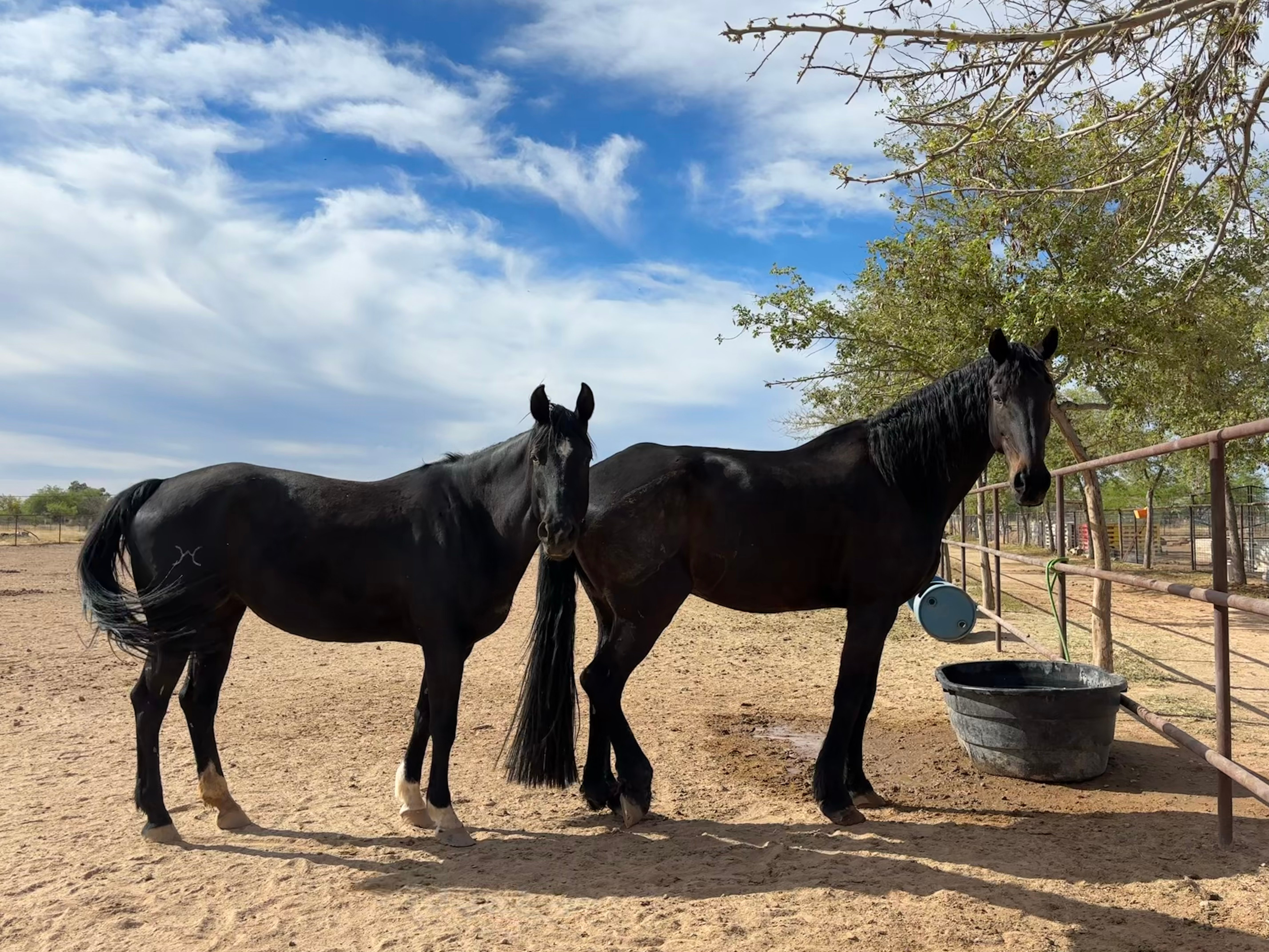 VET_Arizona_LoopAbroad_01