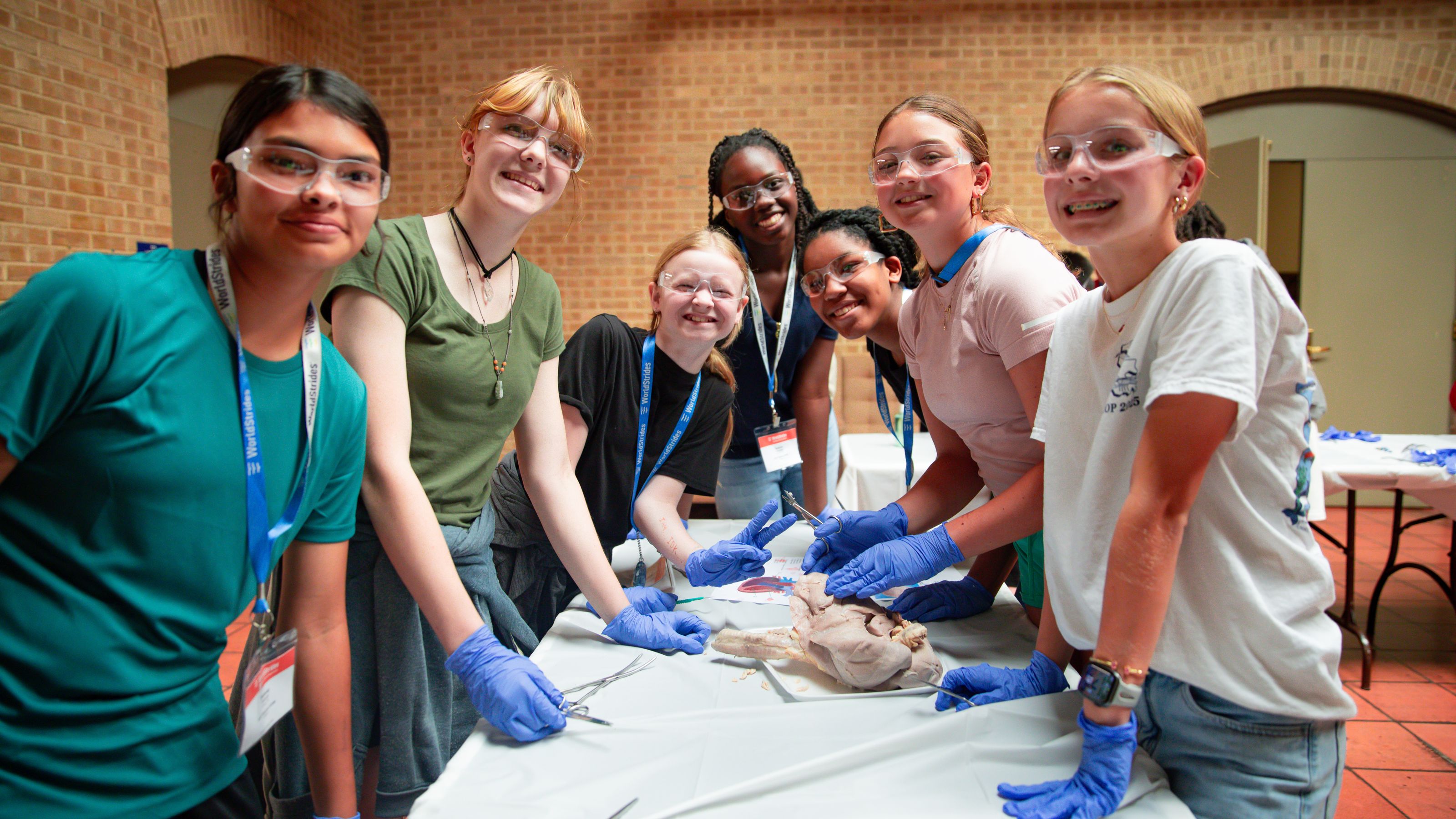 EXS_2025_Dallas_Dissection_32