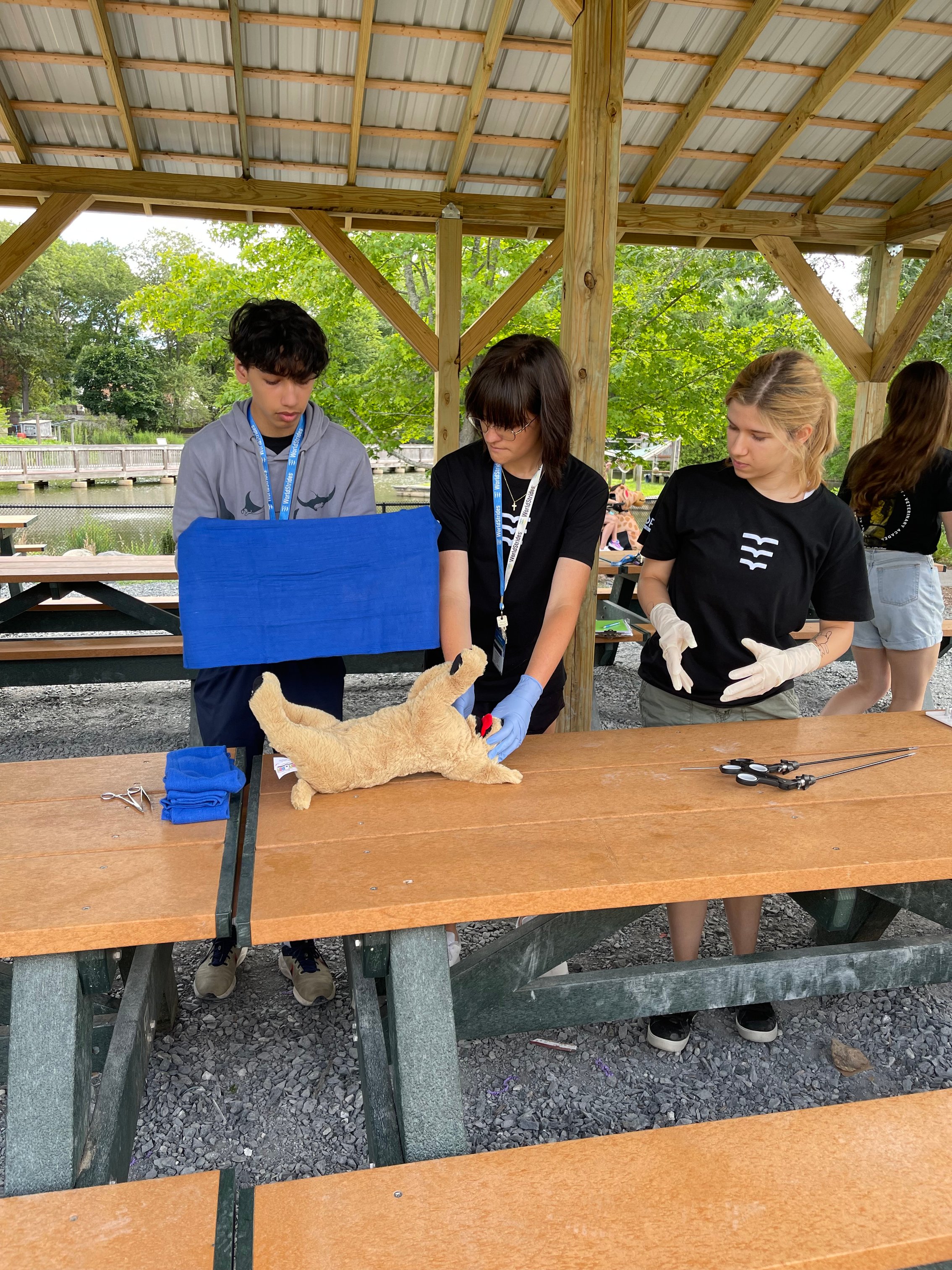 VEH_2025_Massachusetts_S1_Workshop_4