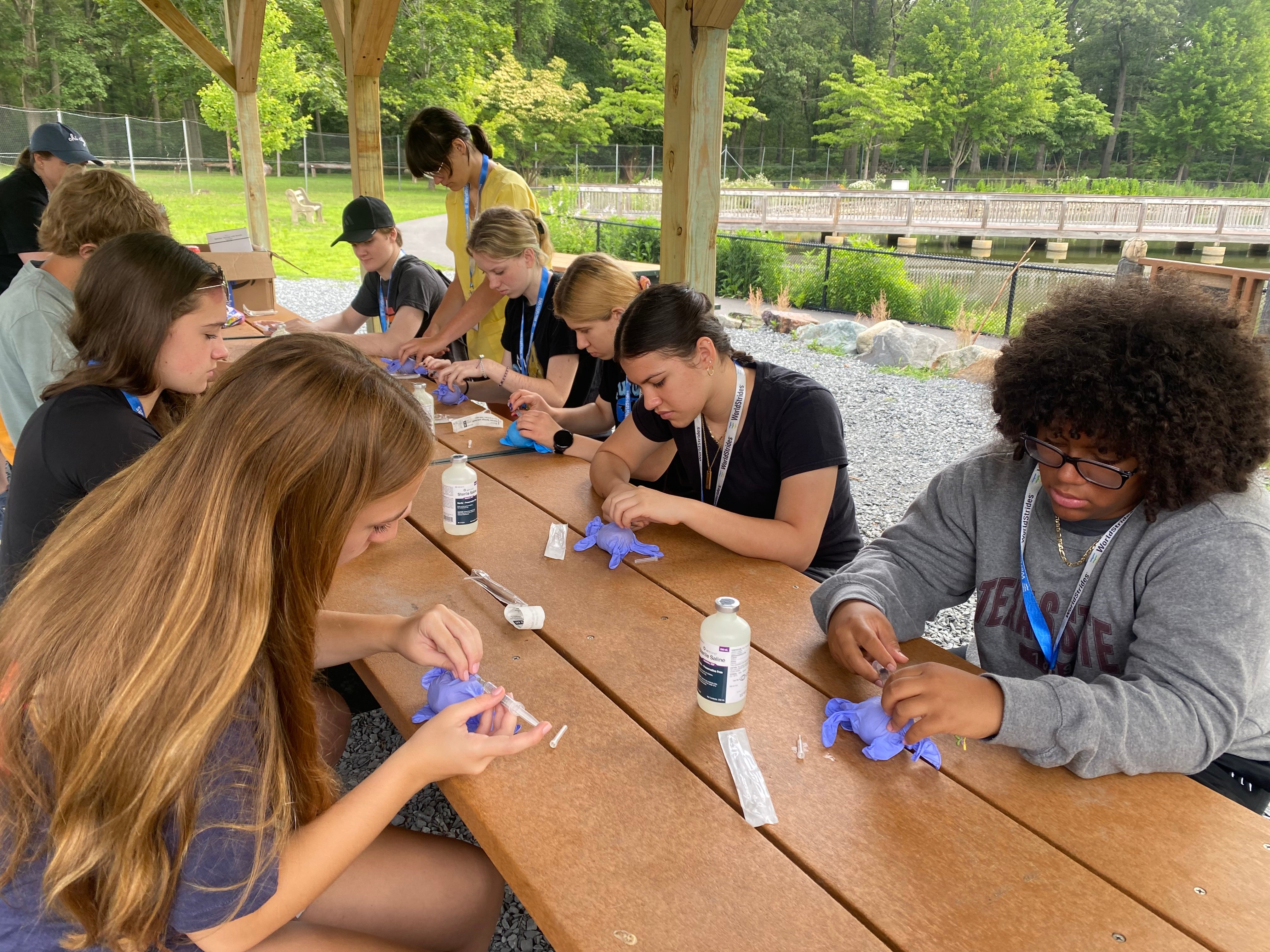 VEH_2025_Massachusetts_S1_Workshop_6 (1)