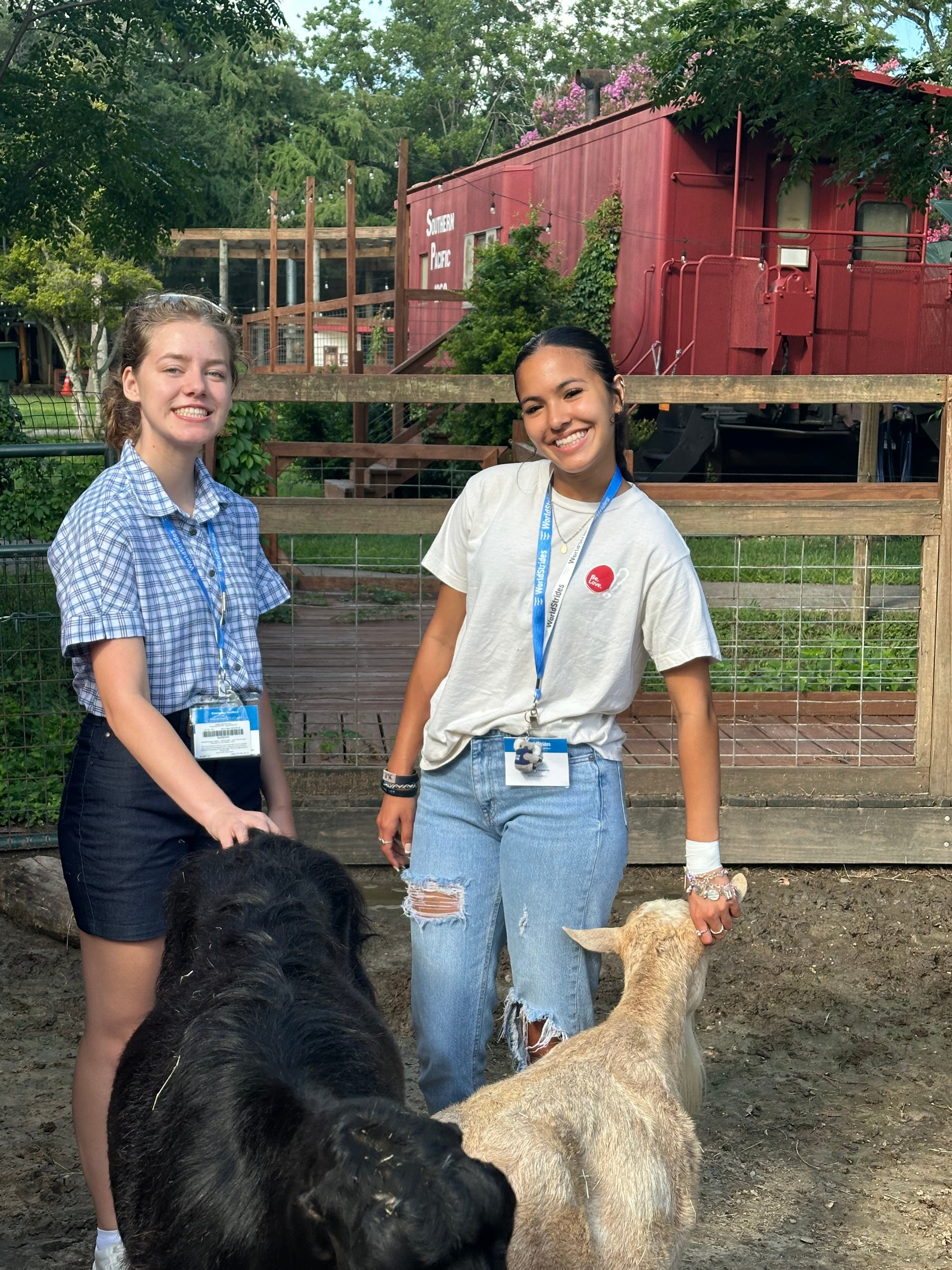 Testimonials image 2