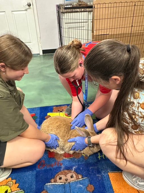 VEH_2025_Texas_Scholar_GroupPhoto_Workshop_07