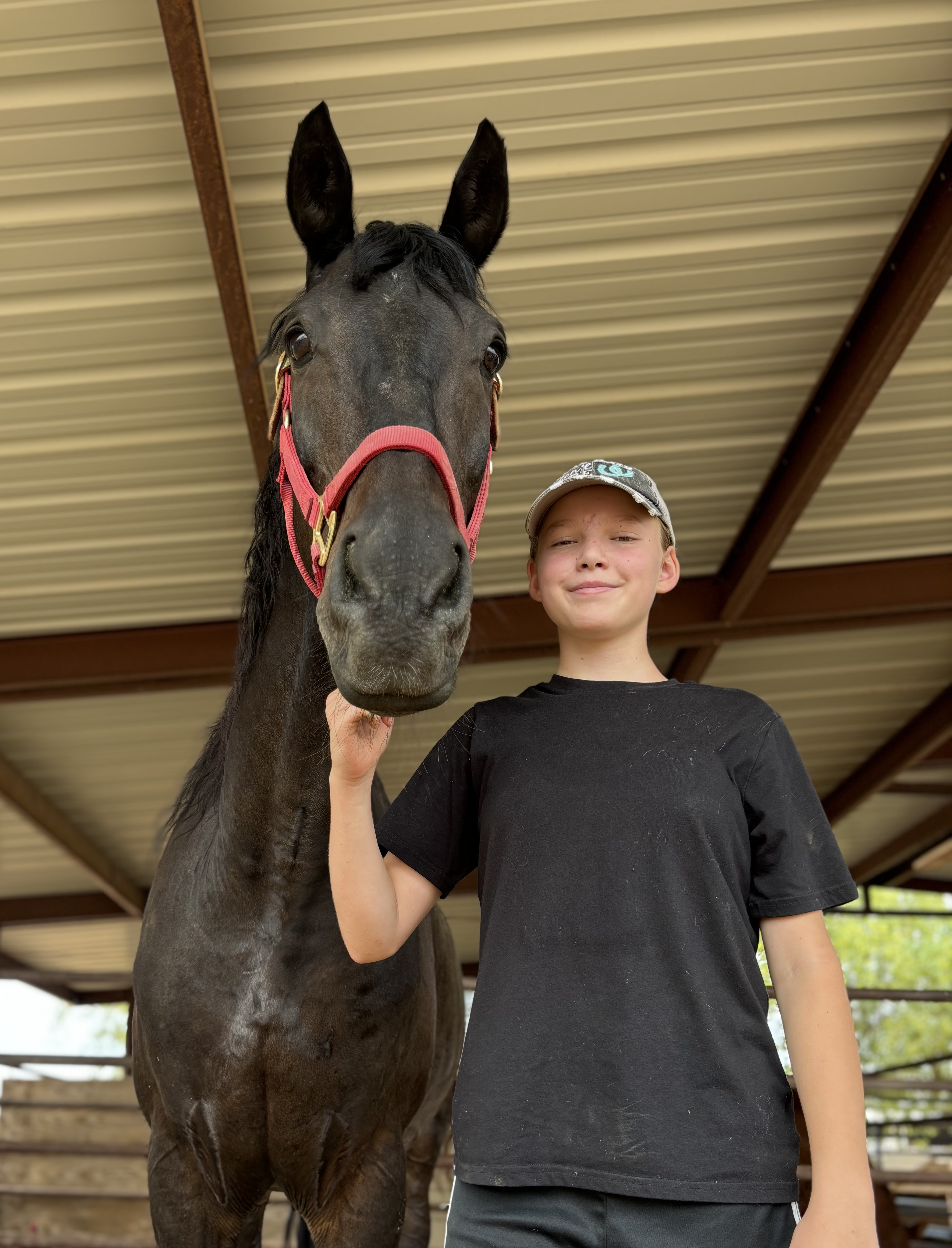 Learning about horses