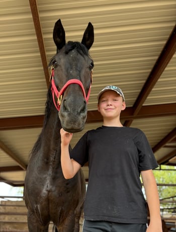 Learning about horses