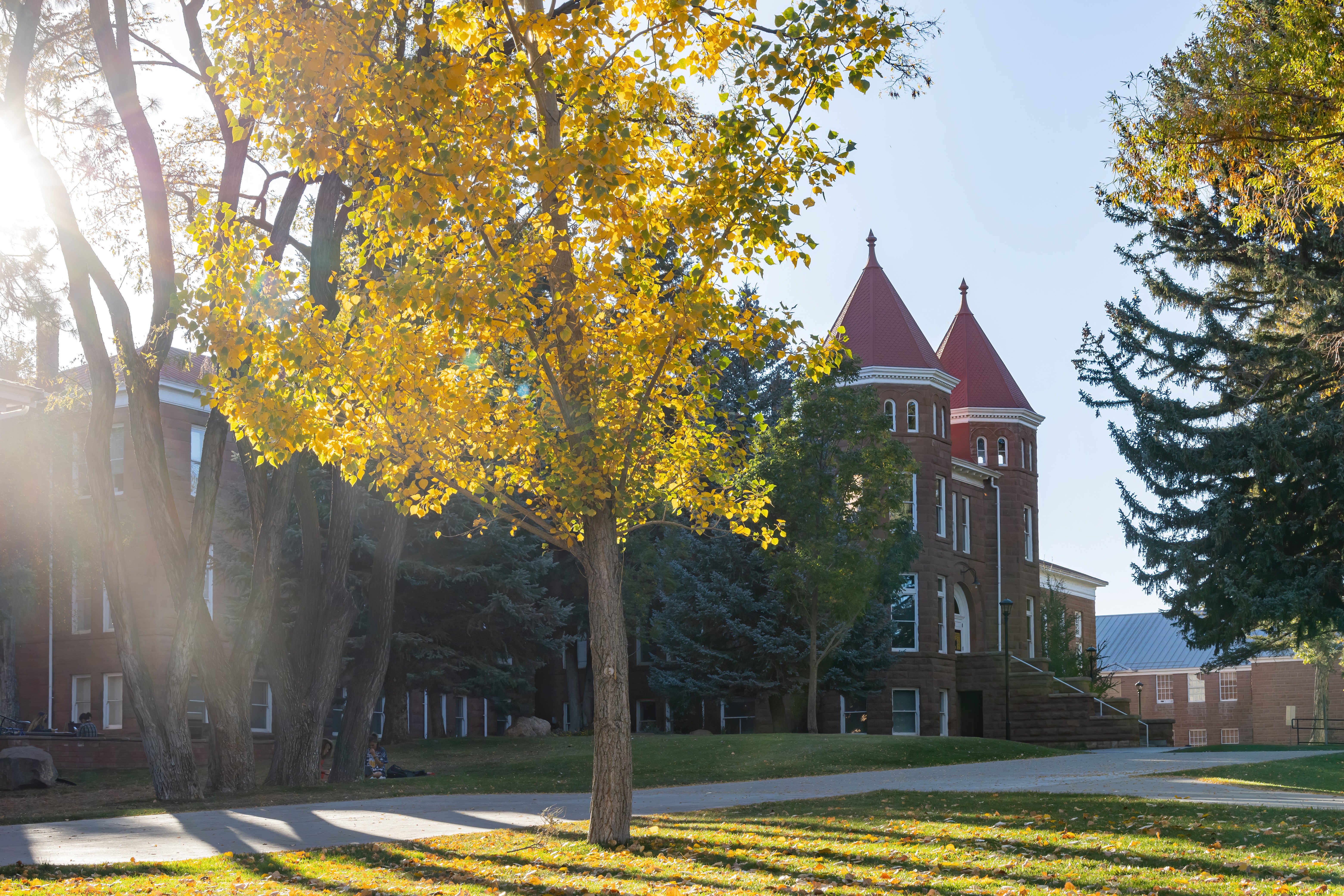 Northern Arizona_AdobeStock_388936701