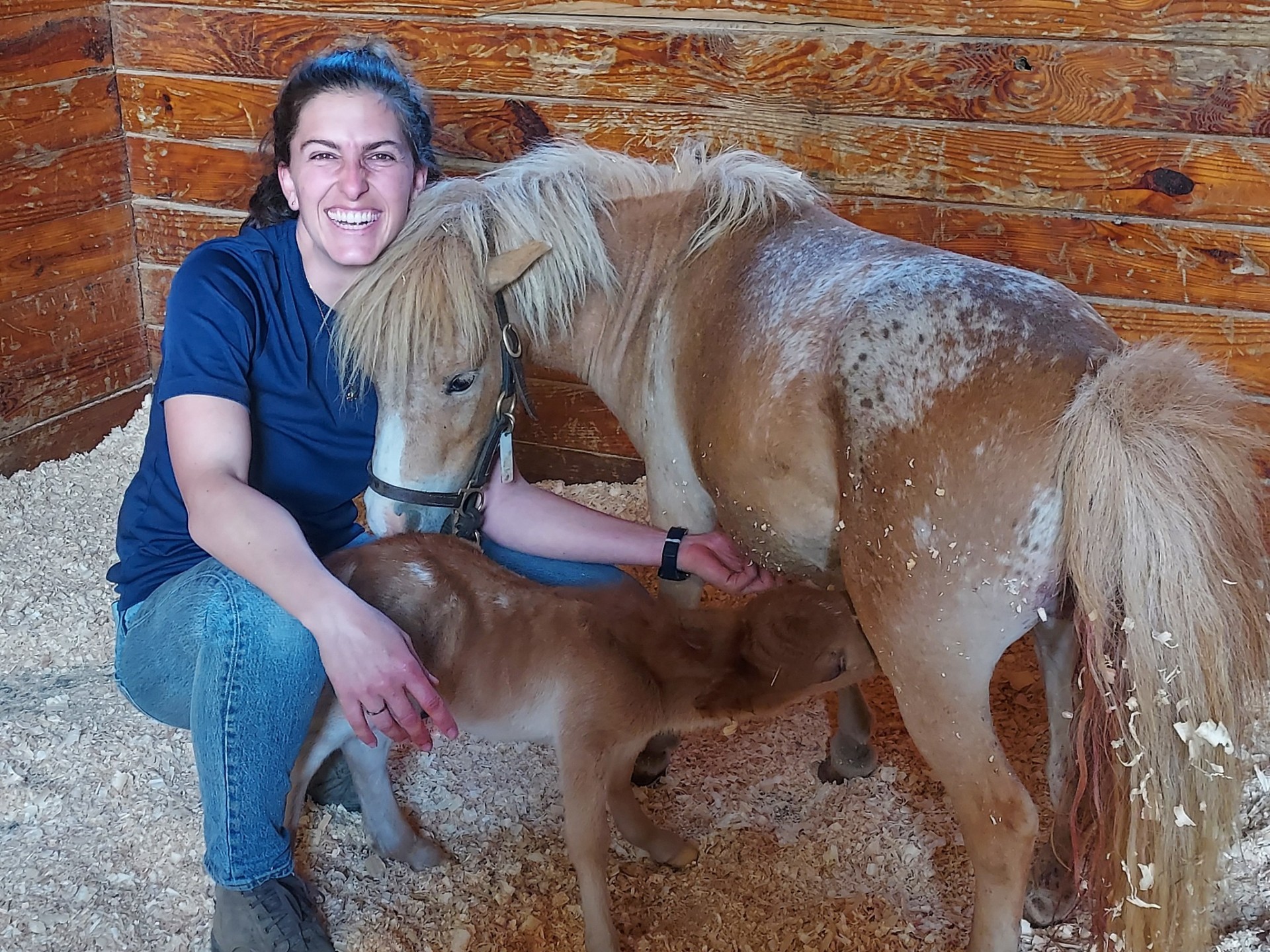 Pine Bush Overview Image