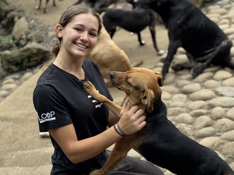 Rescue Center Costa Rica_VEH_2