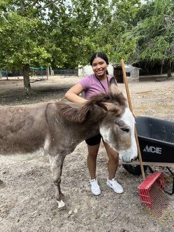 Texas Zoo_VEH_2