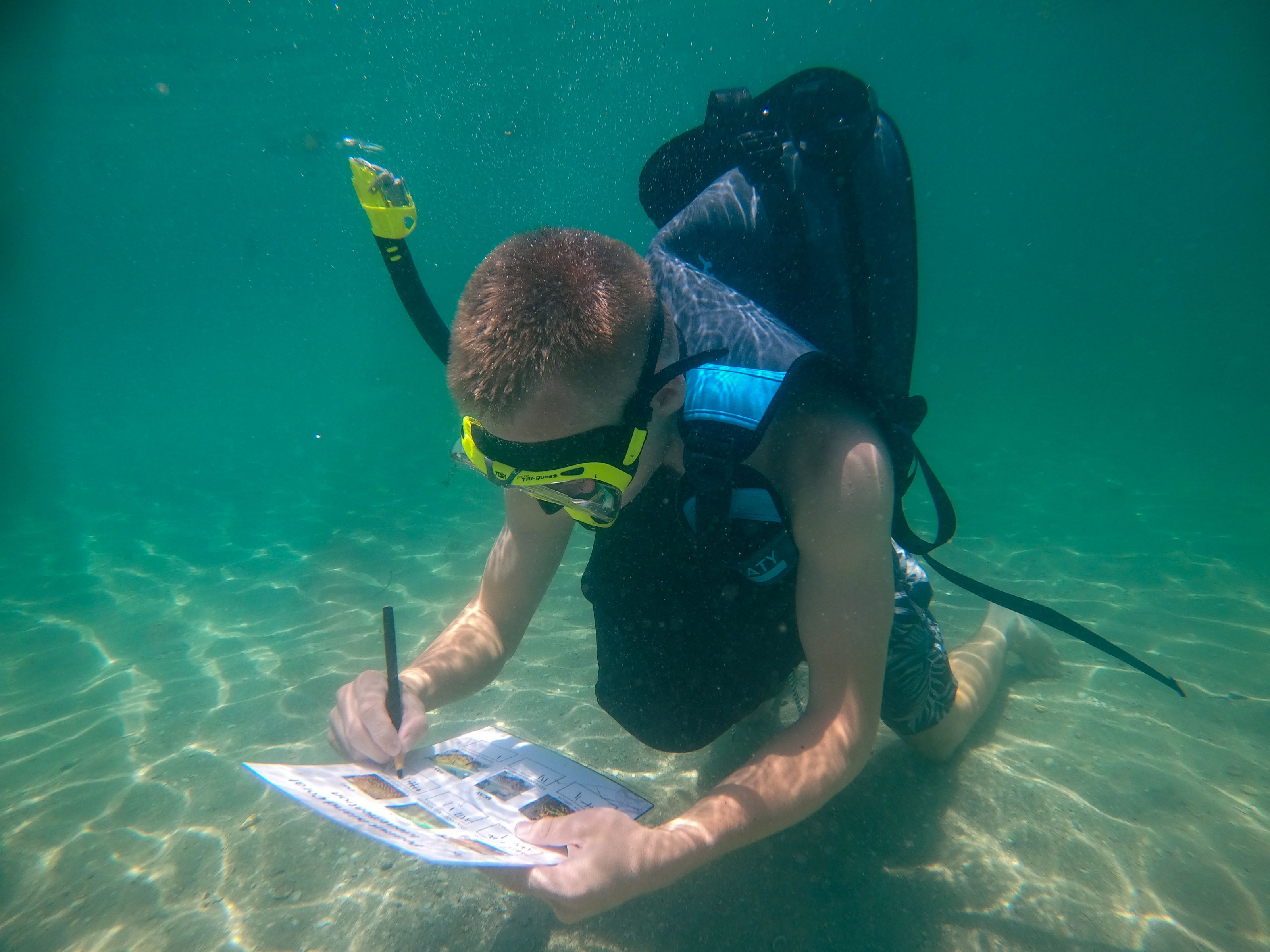 The Reef Institute_VEH_8