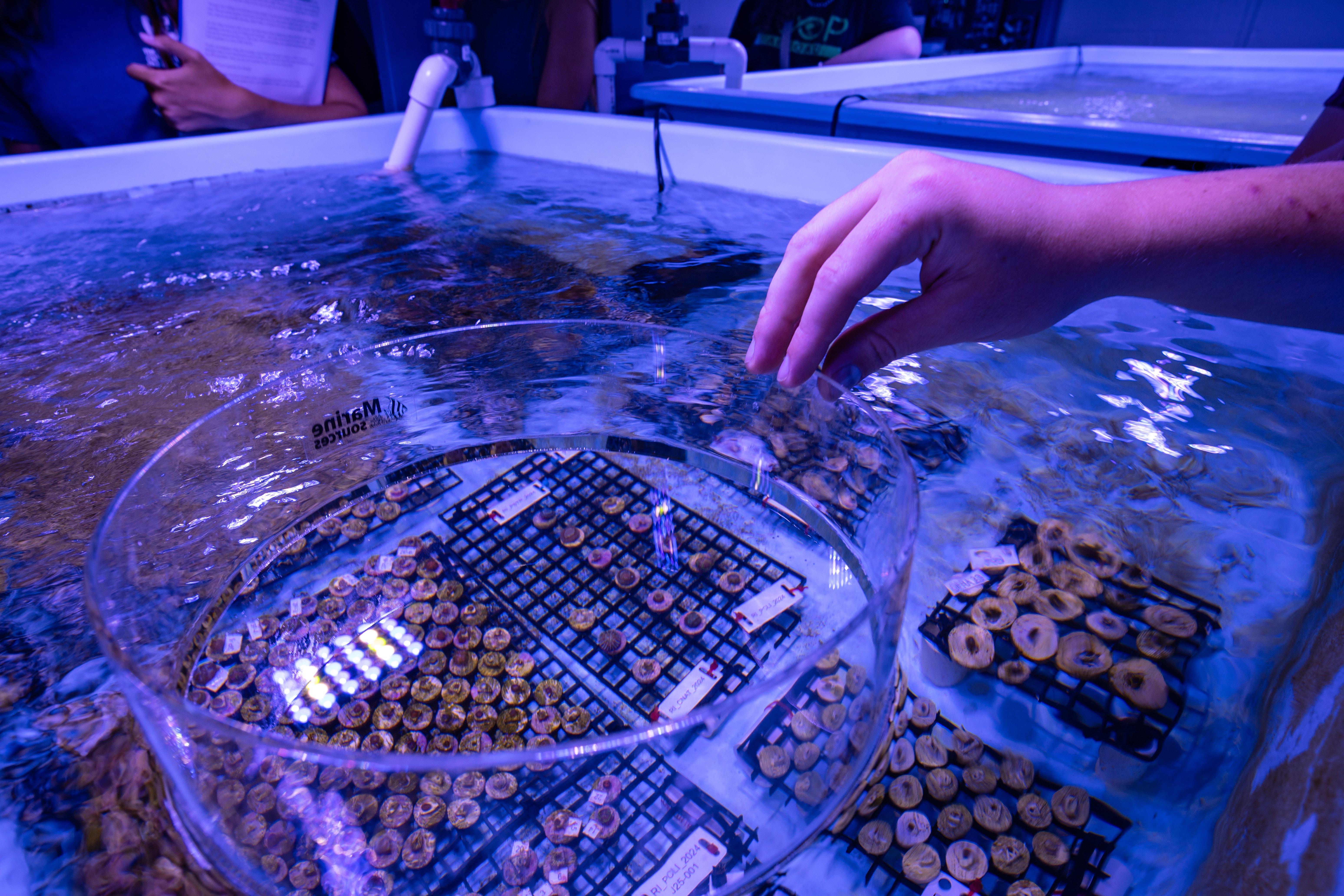 VEH_2025_FloridaReef_Workshop_01