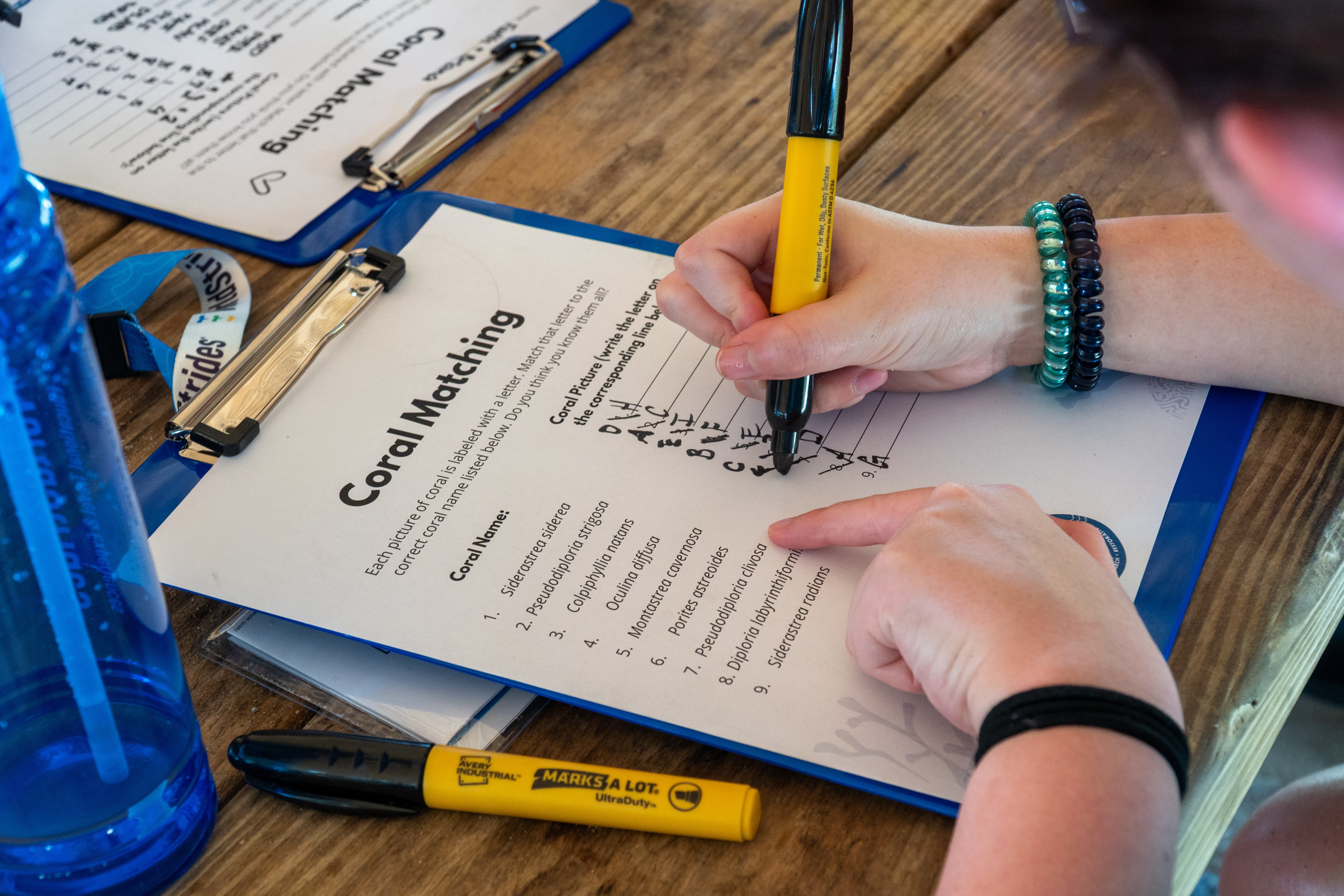 VET_2025_FloridaReef_16