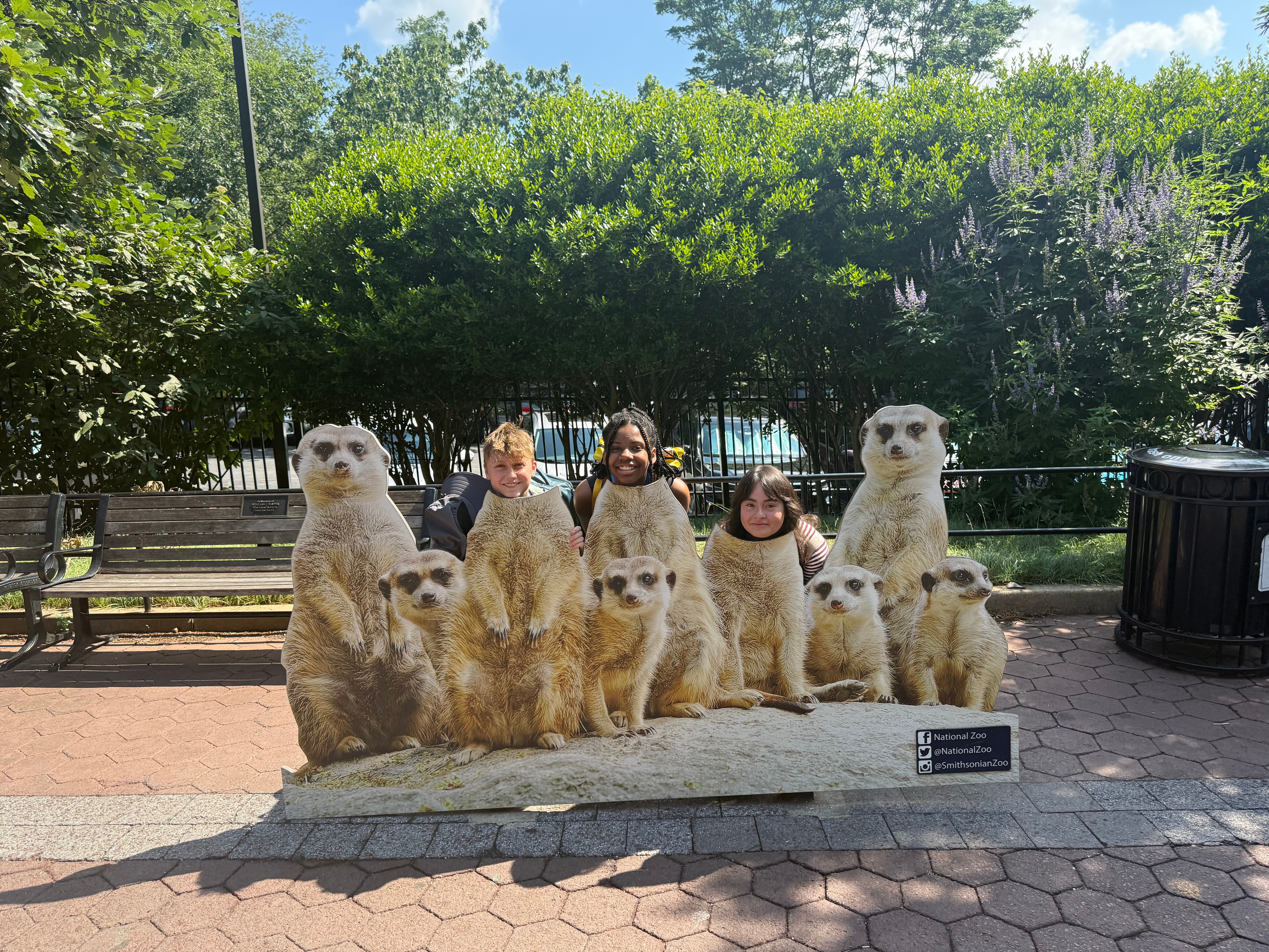 VET_MS_2025_DC_Workshop_05