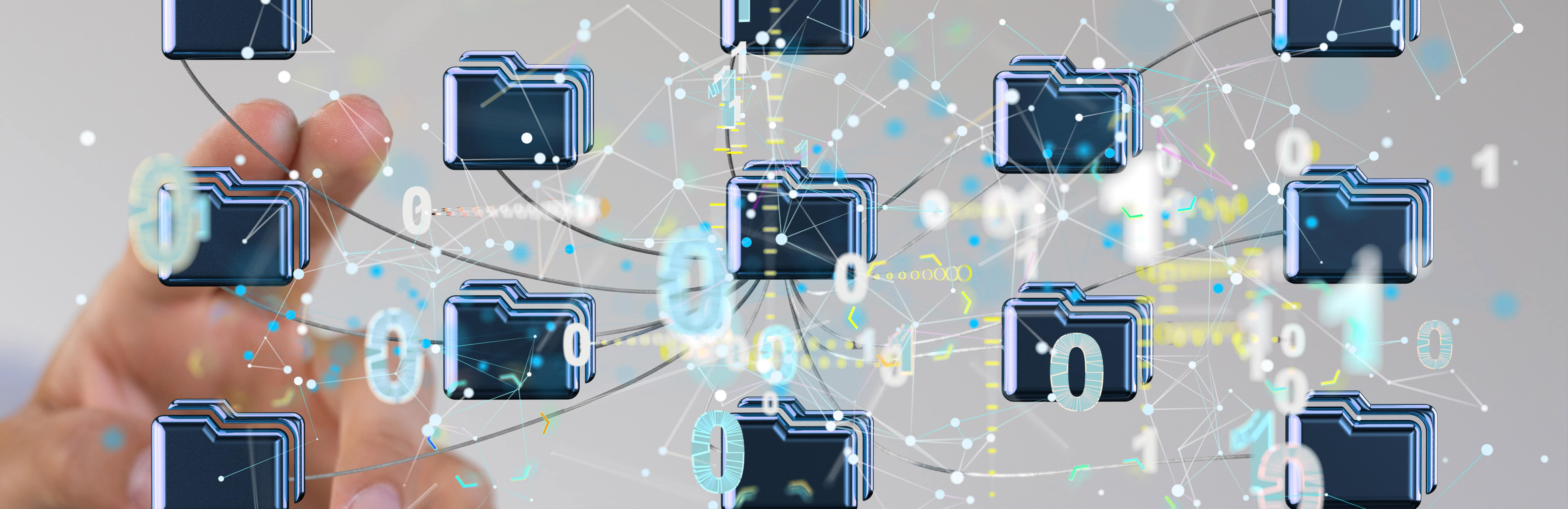 file network banner